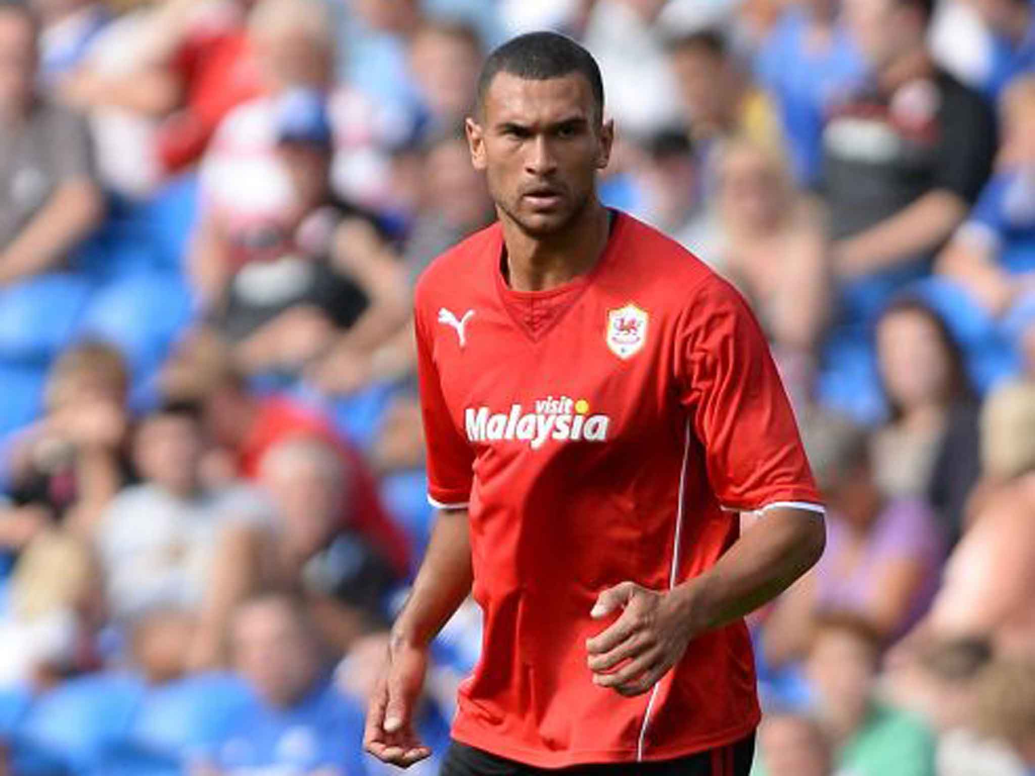 New recruit Steven Caulker