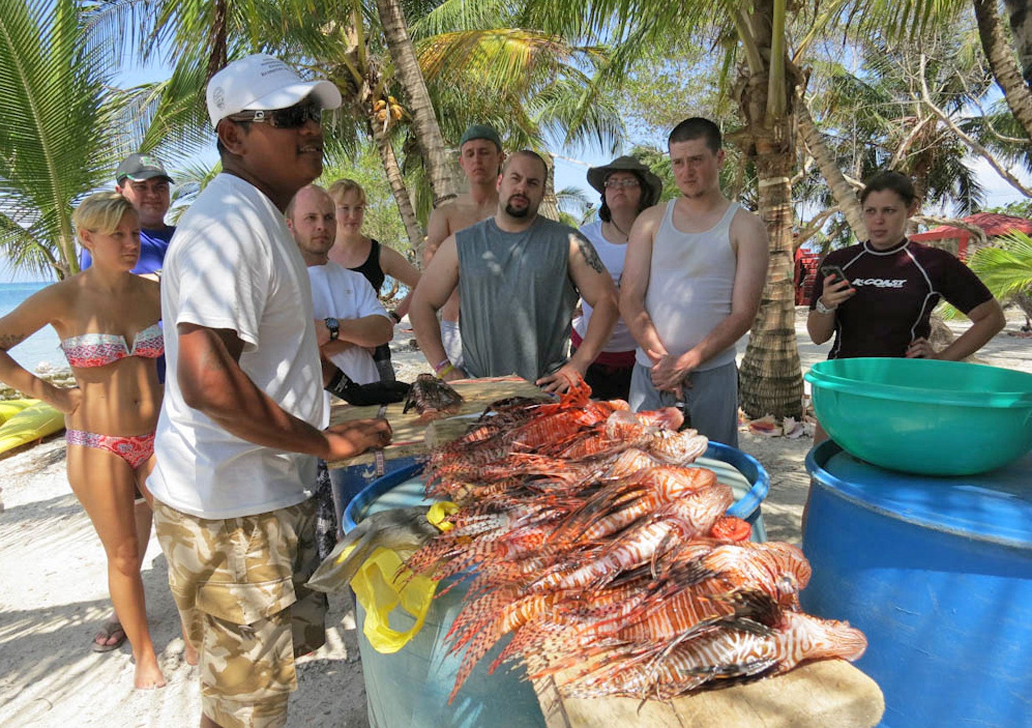 PoD Volunteer runs a week-long reef conservation project in Belize from £895. Volunteers learn to dive, gain Padi Open Water certification (or scuba review if already qualified), while contributing to ongoing research