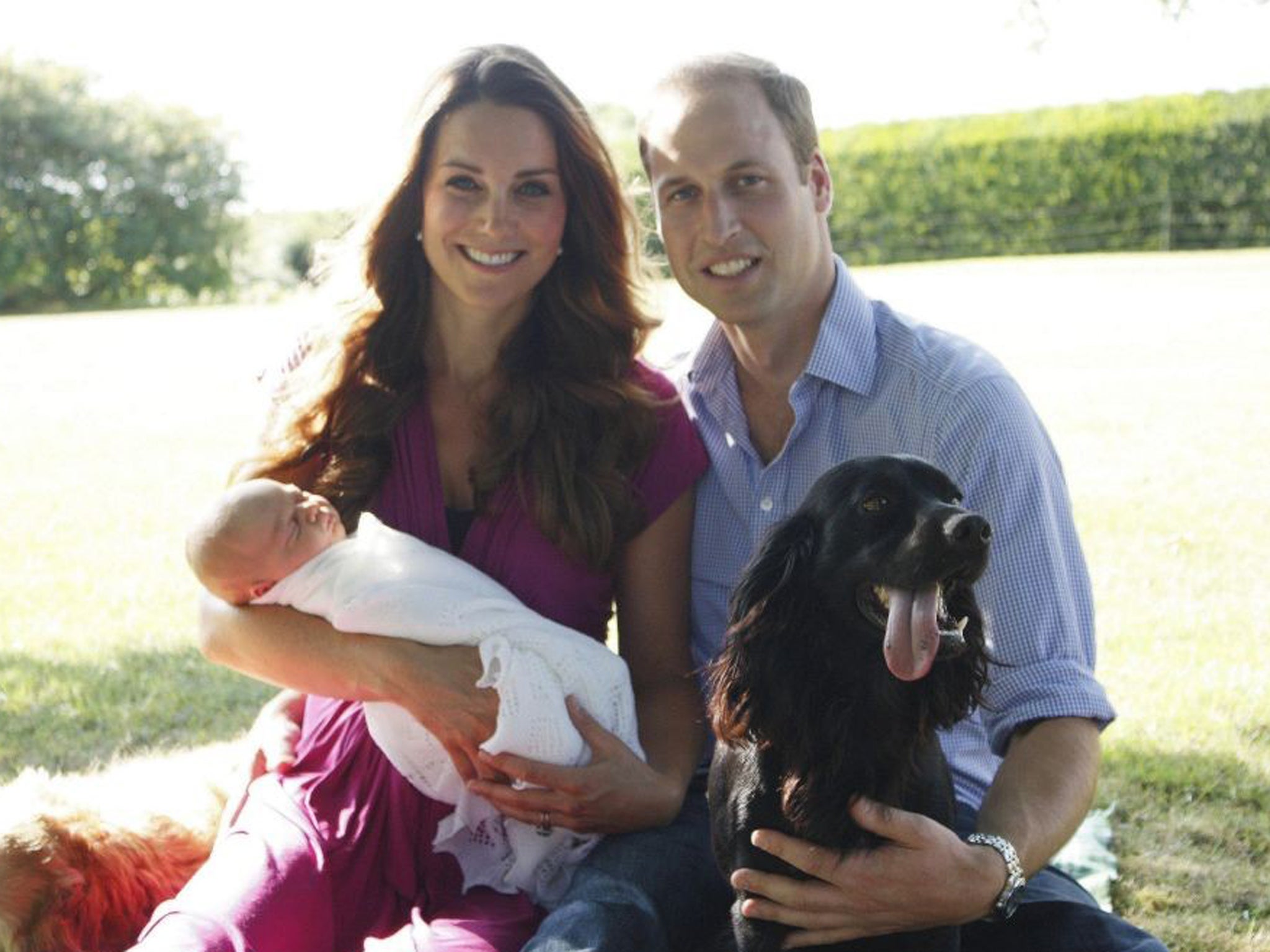 The photo taken by Michael Middleton, the Duchess's father, of the Duke and Duchess of Cambridge as they sit with their son Prince George and cocker spaniel Lupo in the garden of the Middleton family home in Bucklebury, Berkshire