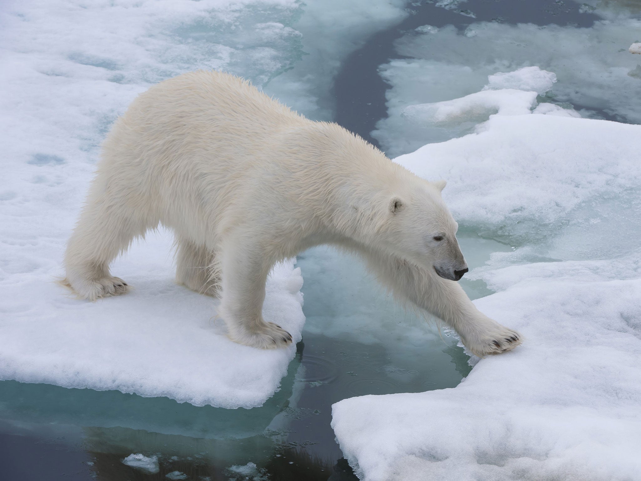 Scientists are more certain than they have ever been that humans are causing climate change