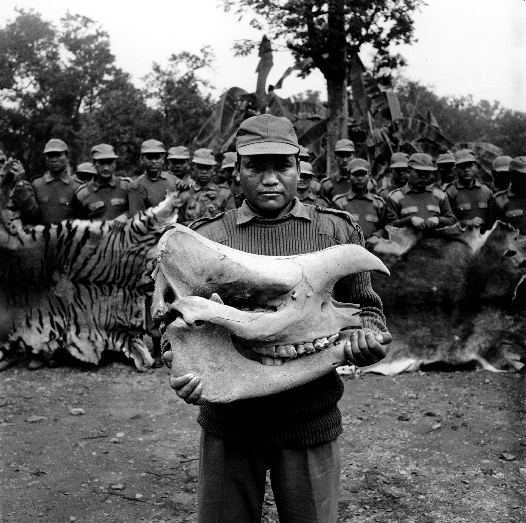 An officer from the Royal Forestry Department holds the skull of a rhino while other park rangers display some of the animal skins seized from poachers in the Royal Chitwan National Park (RCNP). The park's five-year-old stockpile of animal products apprehended from poachers has an estimated value of 750,000 US dollars