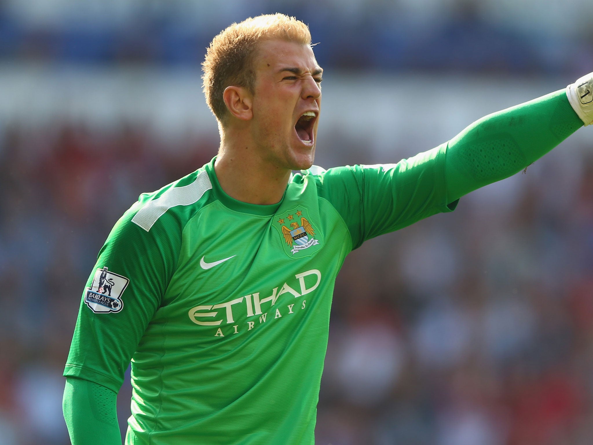 Joe Hart: The England goalkeeper has made high-profile errors