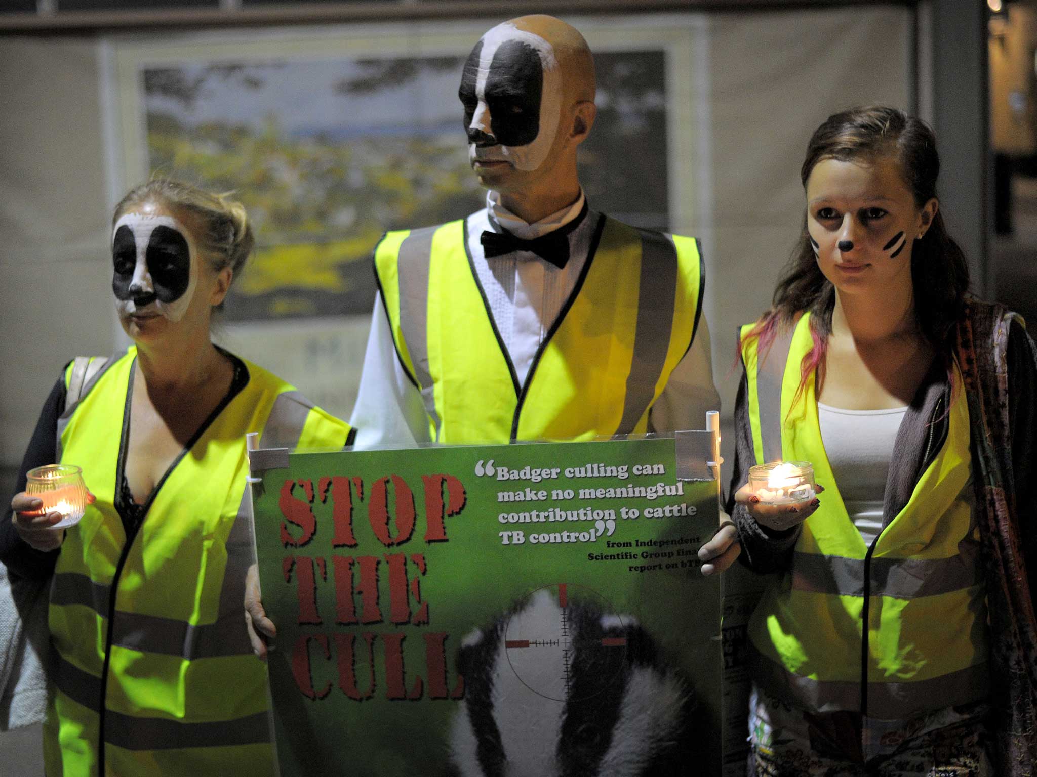 Protesters demonstrate against the badger cull