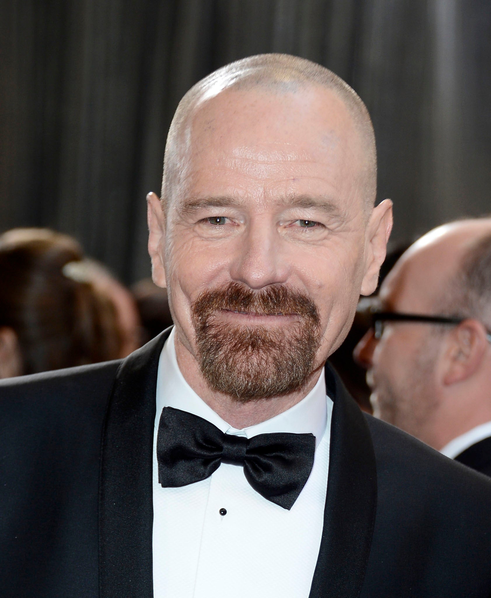 Bryan Cranston has reportedly been cast as Lex Luthor in the Man Of Steel sequel