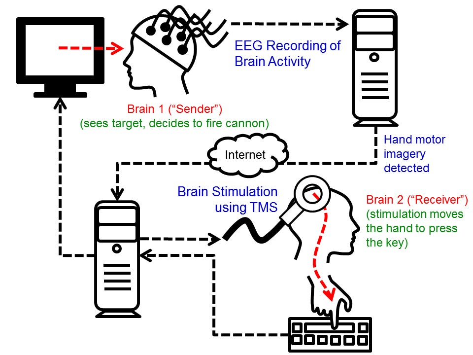 The cycle of the experiment. Brain signals from the “Sender” are recorded and transmitted over the internet to the TMS machine, which causes an upward movement of the right hand of the “Receiver.” Image credit: University of Washington