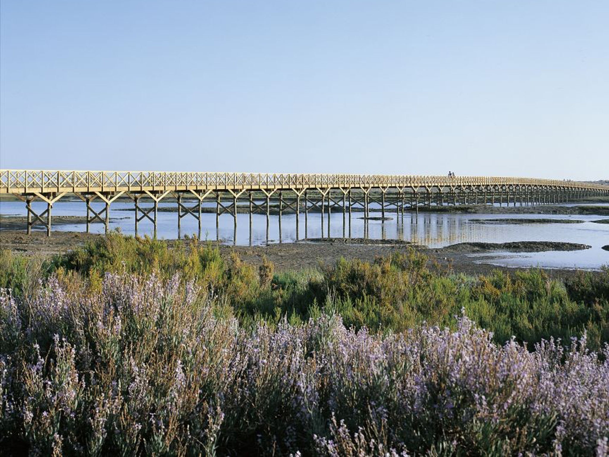 Ria Formosa