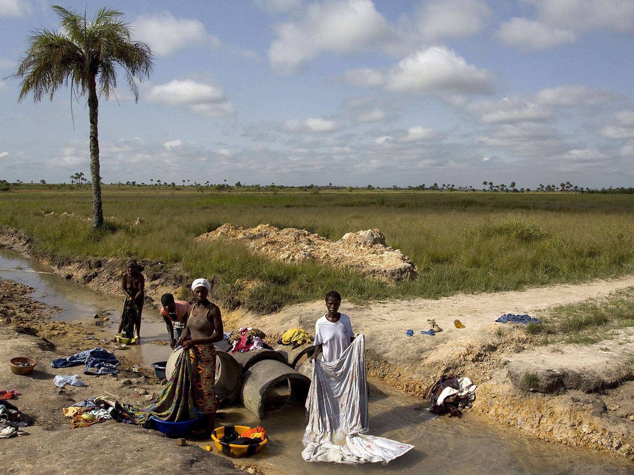 Farmers in this village in Sierra Leone say they didn't know what they were getting into when they leased their land for a biofuel crop they fear threatens their food harvests