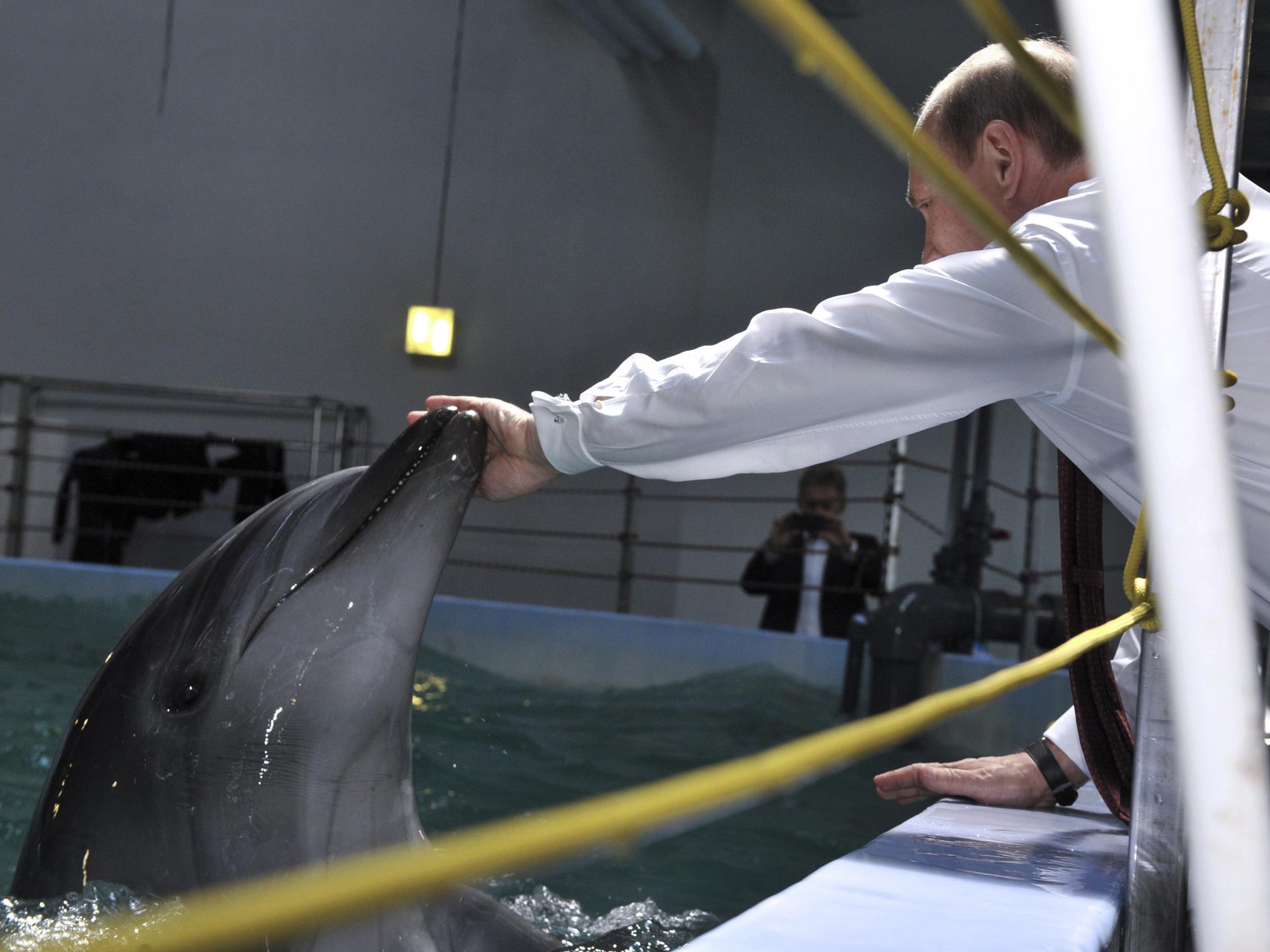 Putin touches a dolphin during his visit to the oceanarium