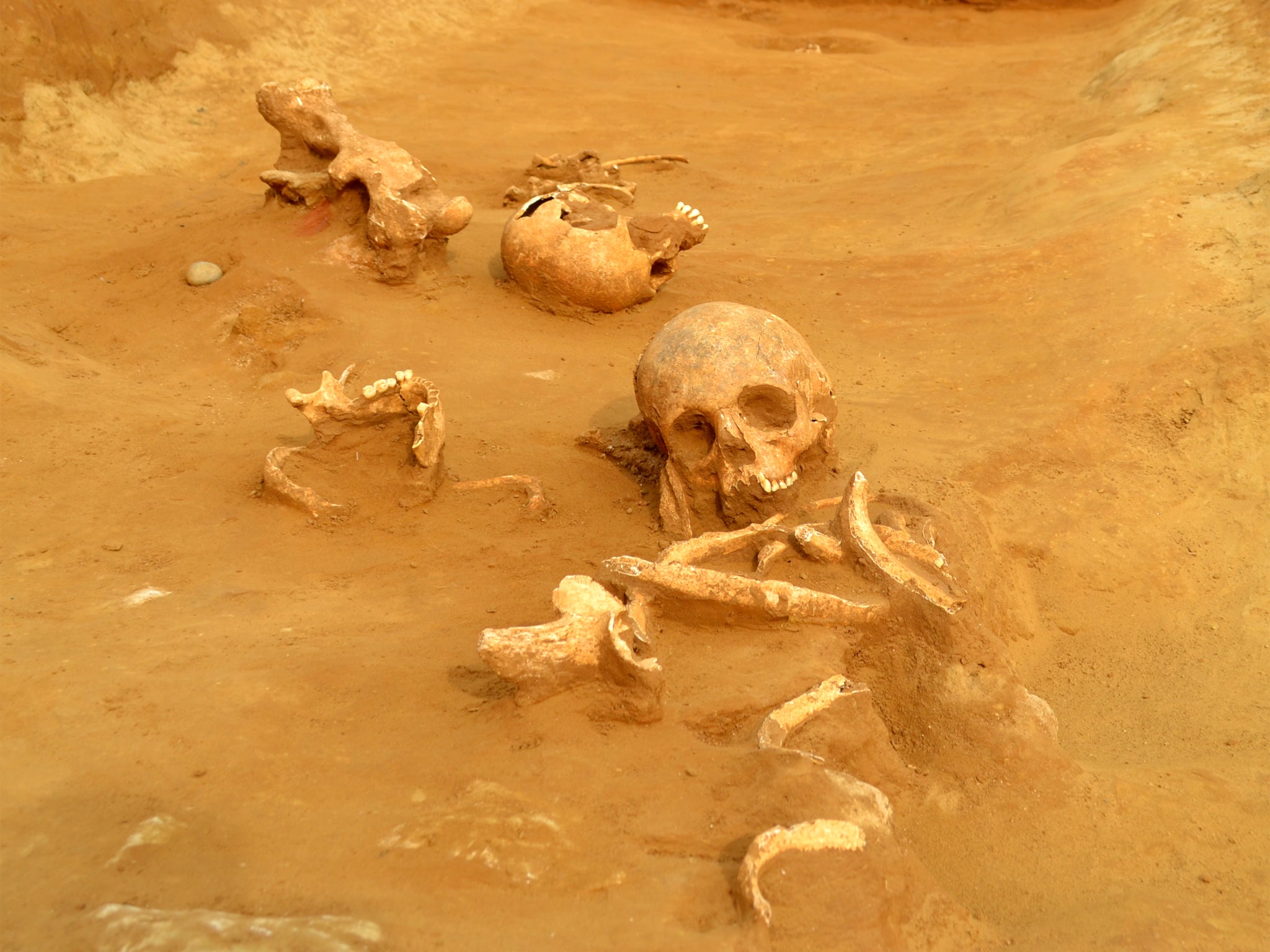 Excavated remains of the heads and necks of three late Iron Age individuals thrown into an enclosure ditch