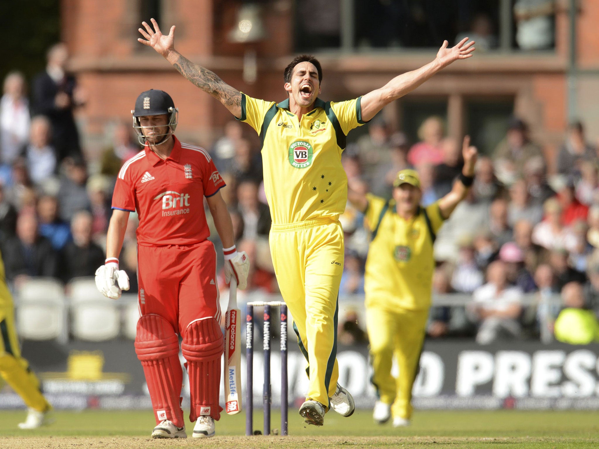 Mitchell Johnson celebrates Jonathan Trott’s wicket