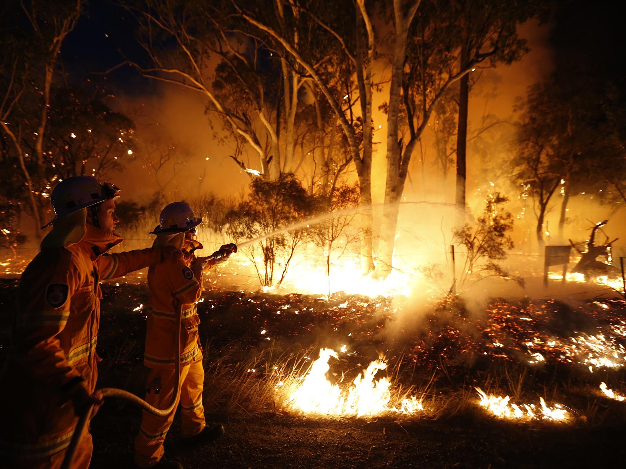 Firefighters attempt to extinguish a bushfire at the Windsor Downs Nature Reserve, near Sydney