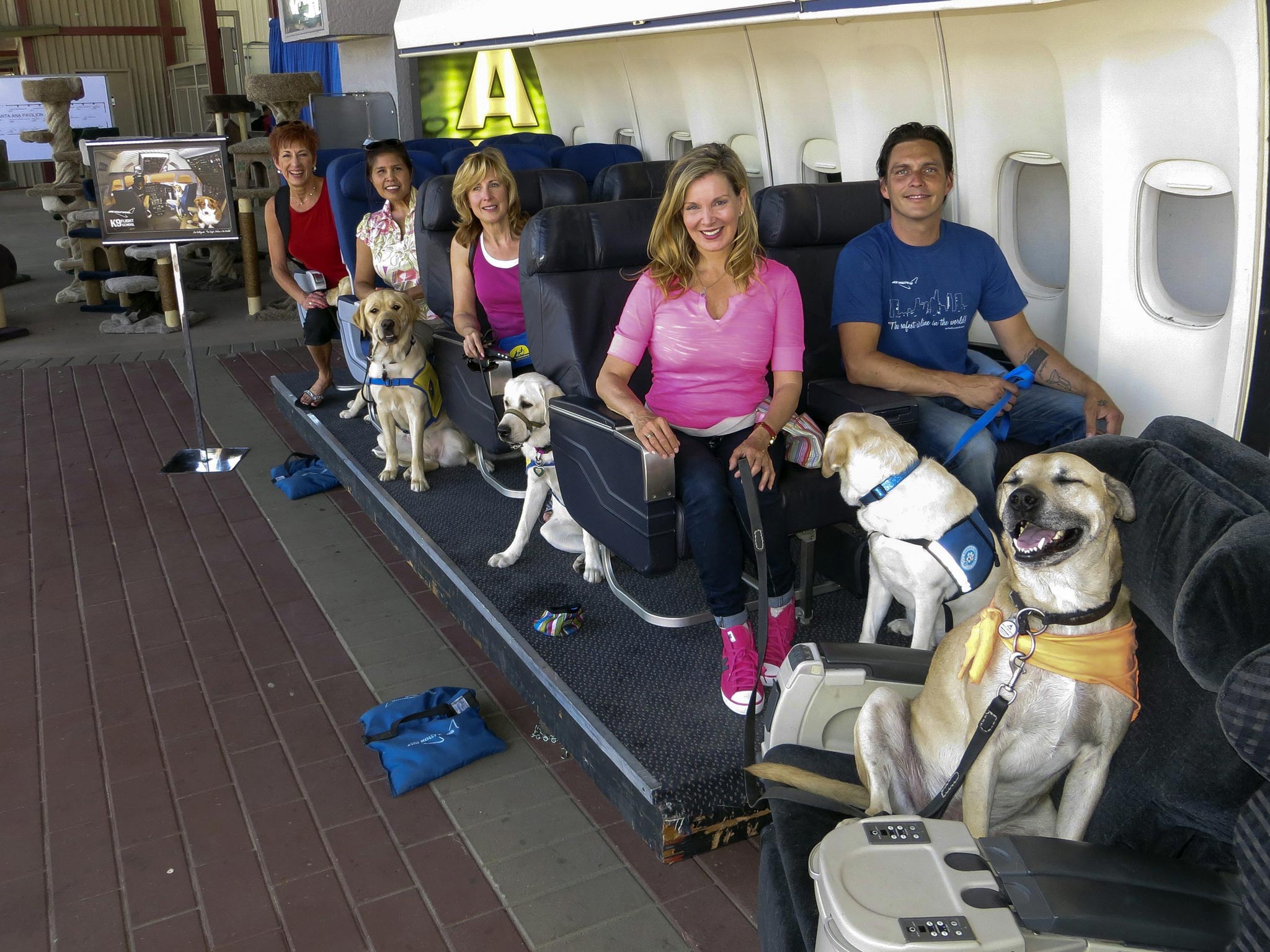 Megan Blake, Air Hollywood K9 Flight School Program Director, sitting left, front row, with dog Super Smiley, far right, and other puppies from the Canine Companions for Independence pose for a photo during a K9 flight simulation at the America's Family Pet Expo
