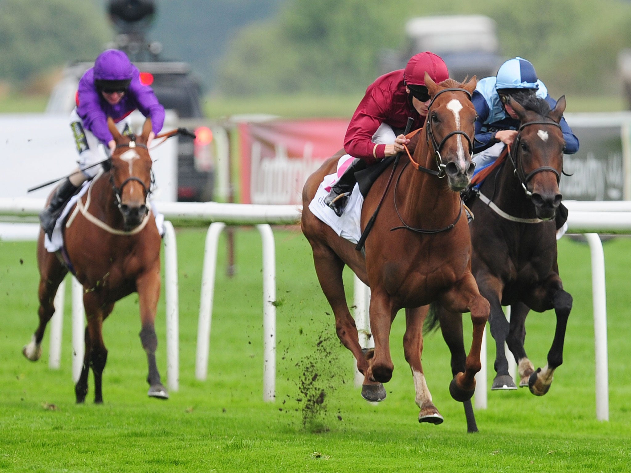 Jamie Spencer rides The Lark to victory on a day marred by Hayley Turner’s fall