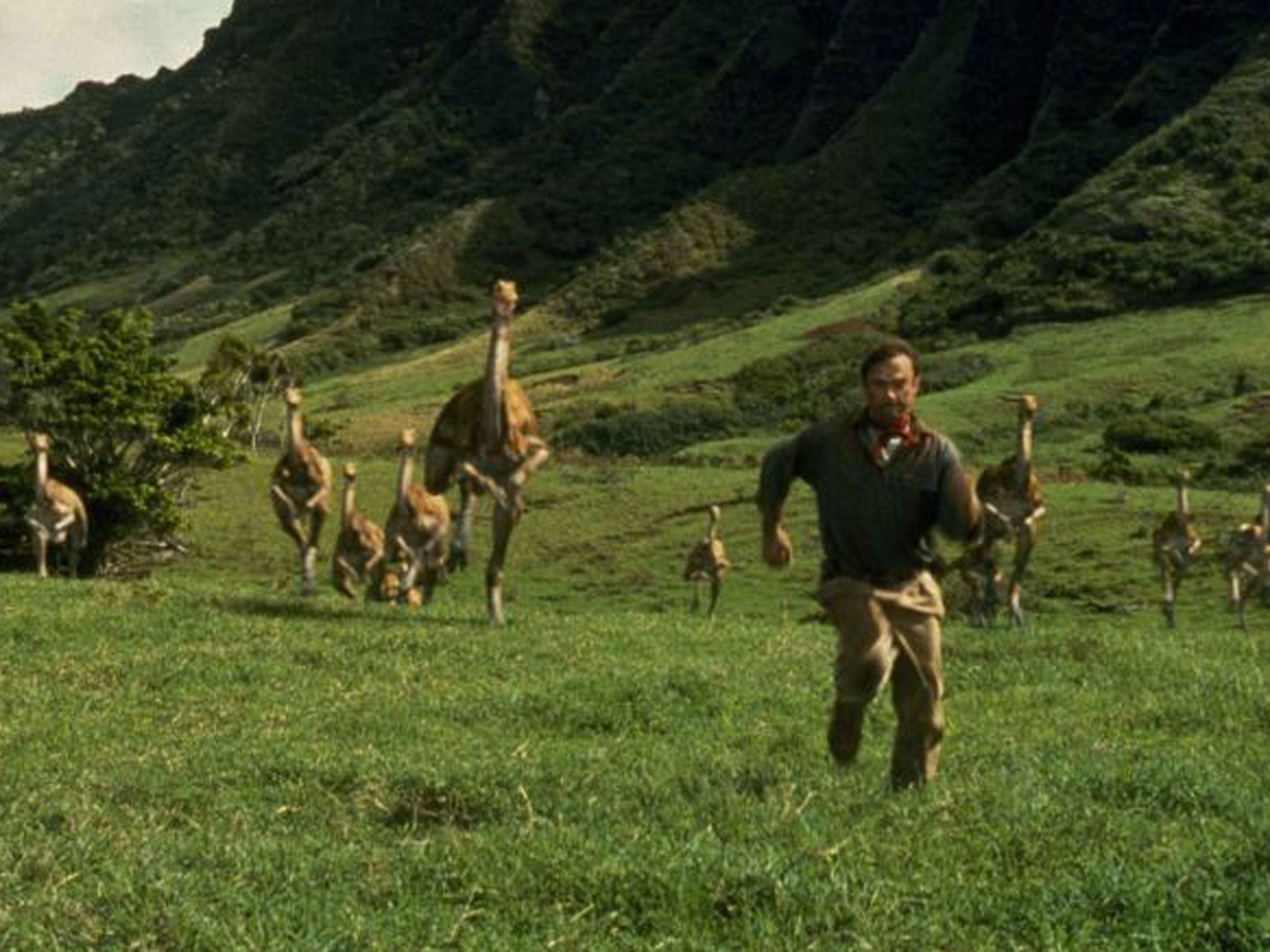 'Without that asteroid, the dinosaurs would probably still be here, and we very probably would not' (Scene from Jurassic Park)