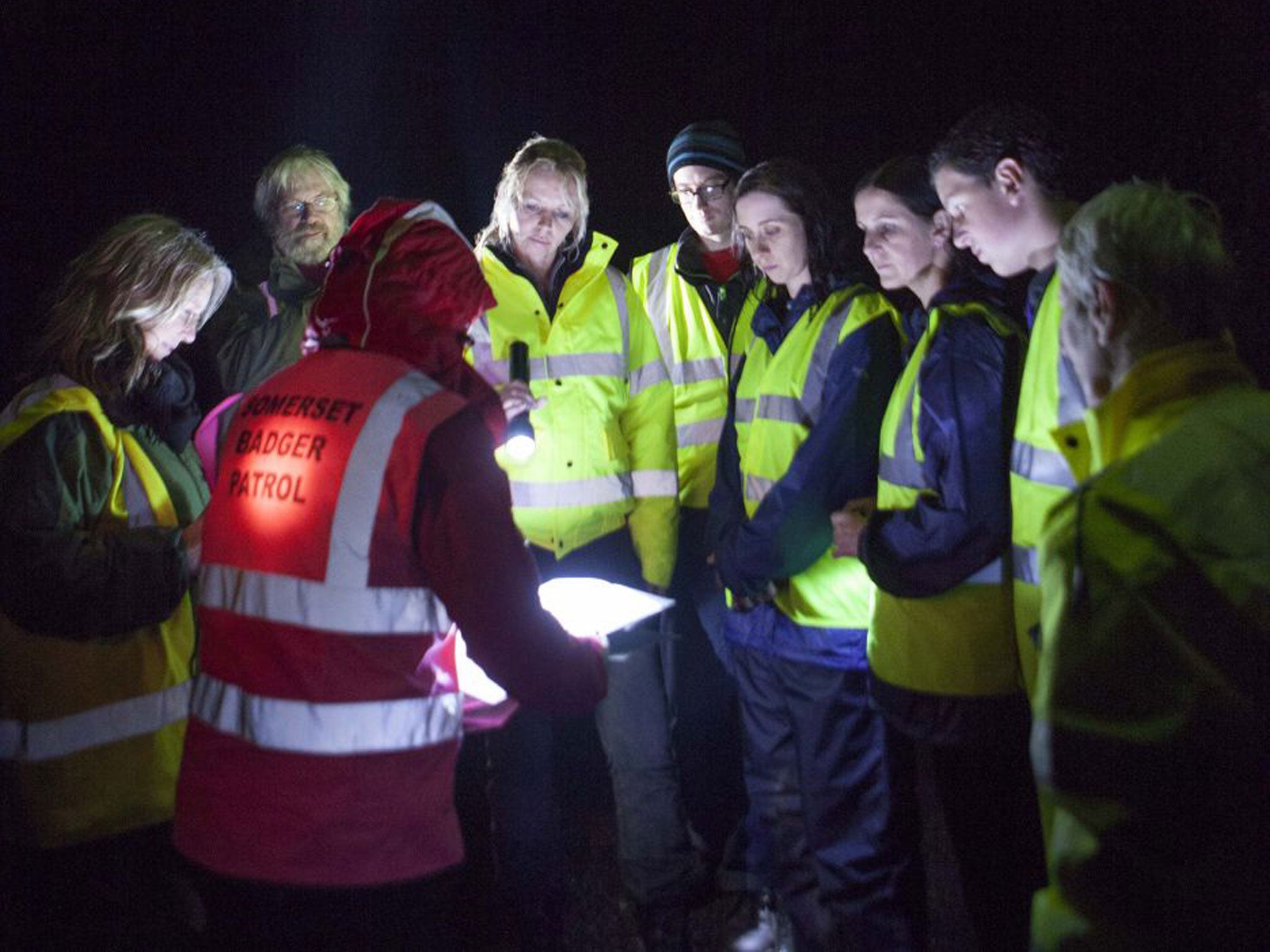 Somerset Badger Patrol check areas inside the cull zone in Williton