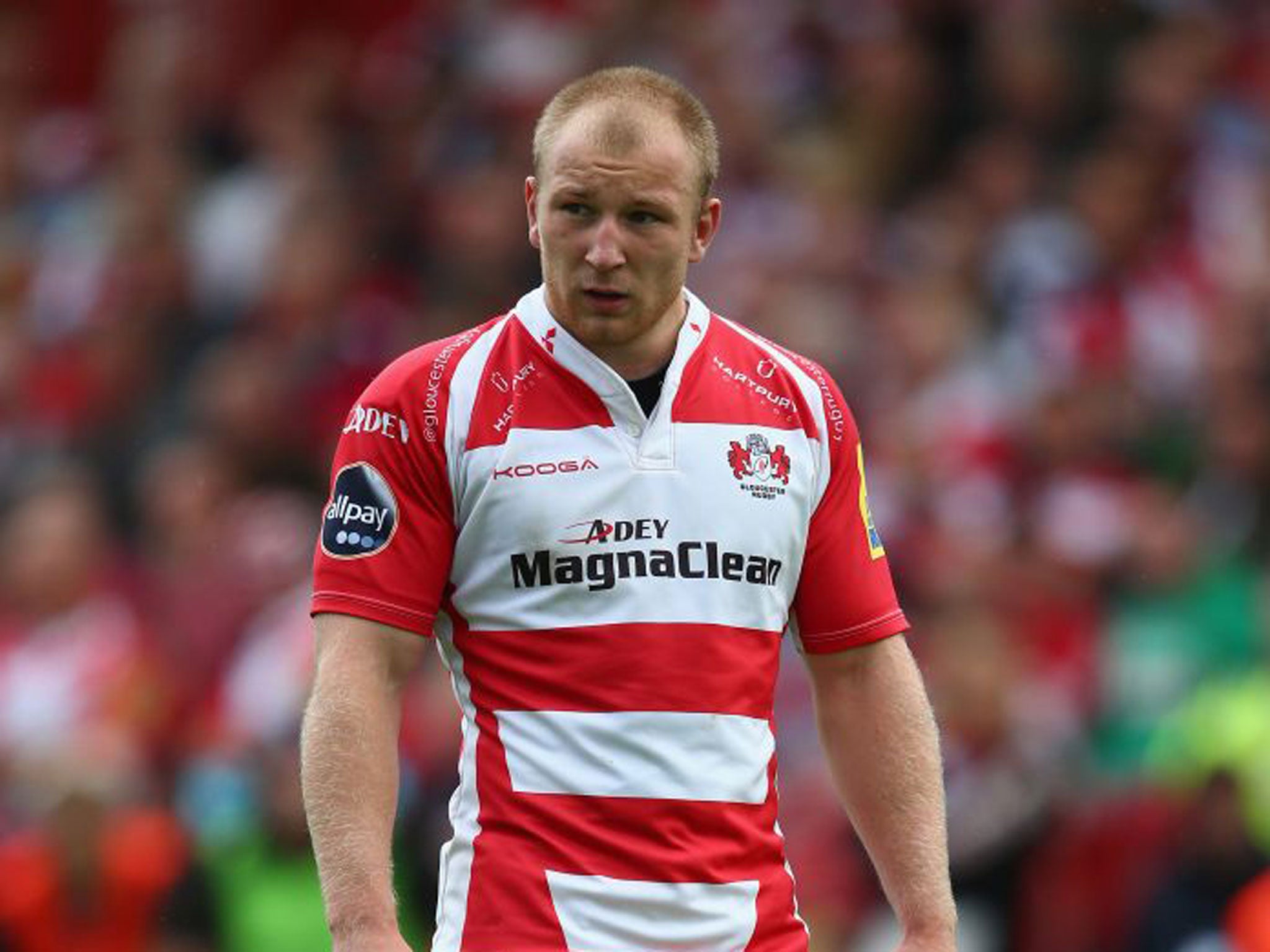 Matt Kvesic is suspended for Gloucester