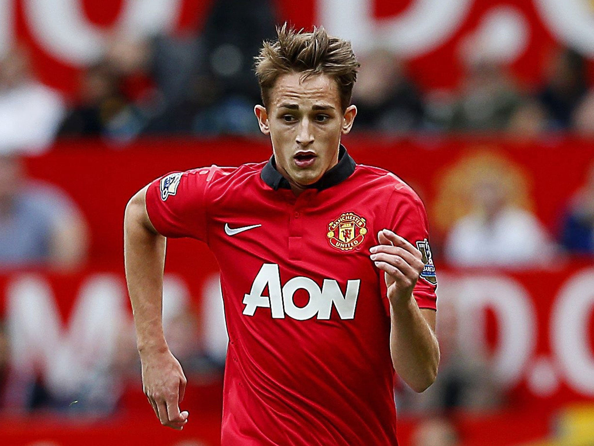 Adnan Januzaj cost United £500,000 from Anderlecht