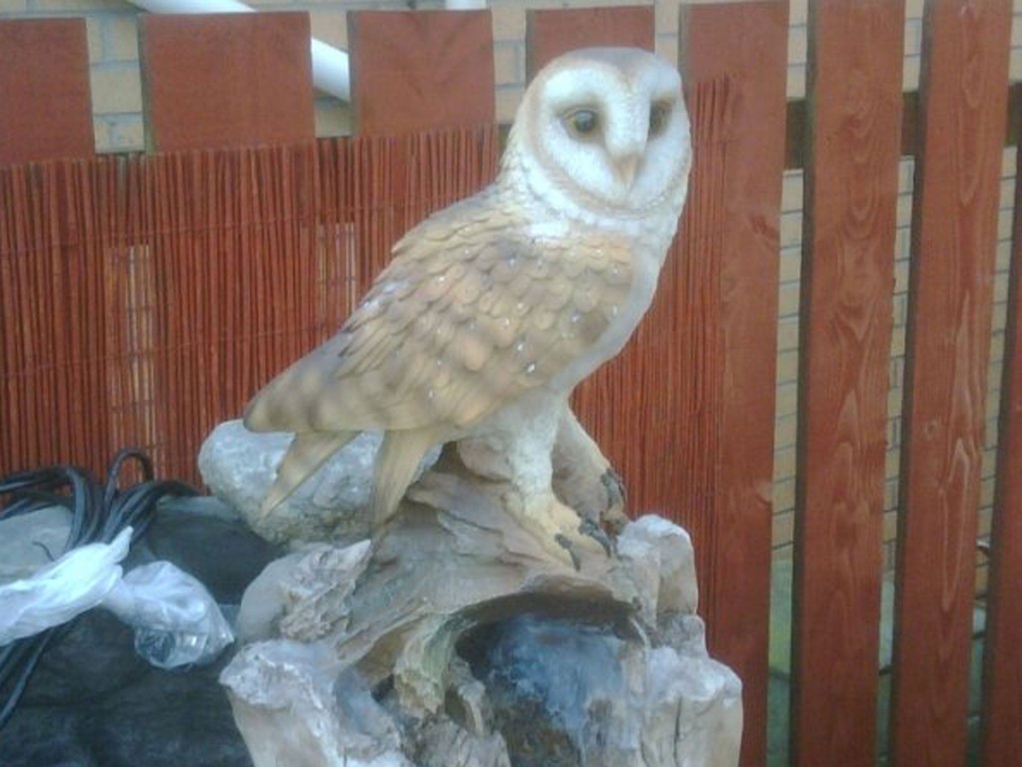 A Scottish animal welfare charity was called out to rescue a 'distressed' owl that had been left tied to a tree all night, only for an inspector to find the bird was in fact a plastic garden water feature.