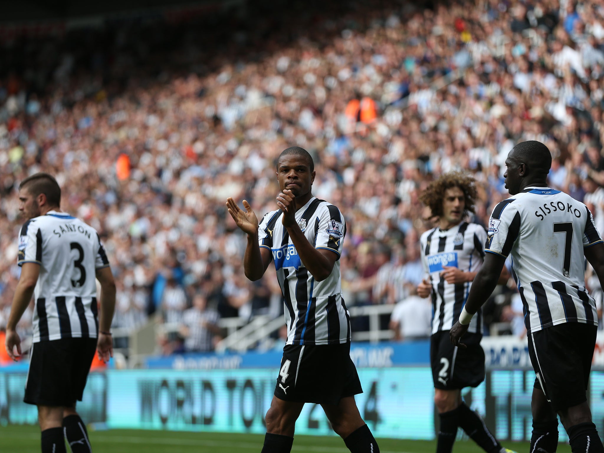 Loic Remy celebrates scoring for Newcastle