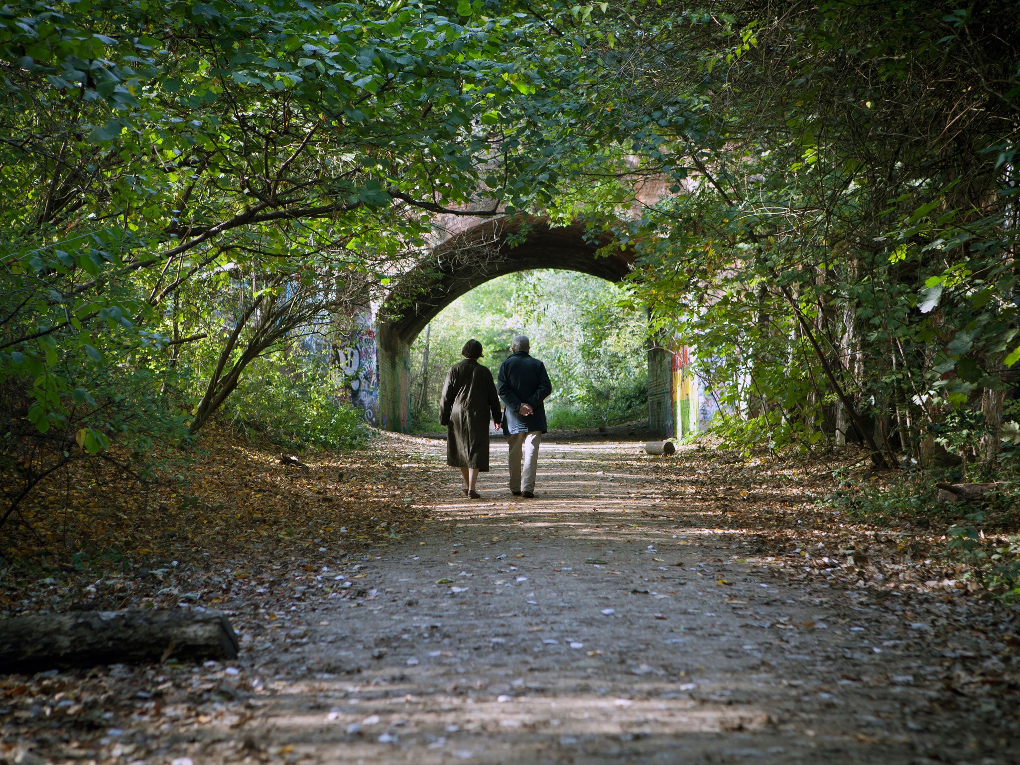 Trouble ahead: Older people take a risk with non-professional advice