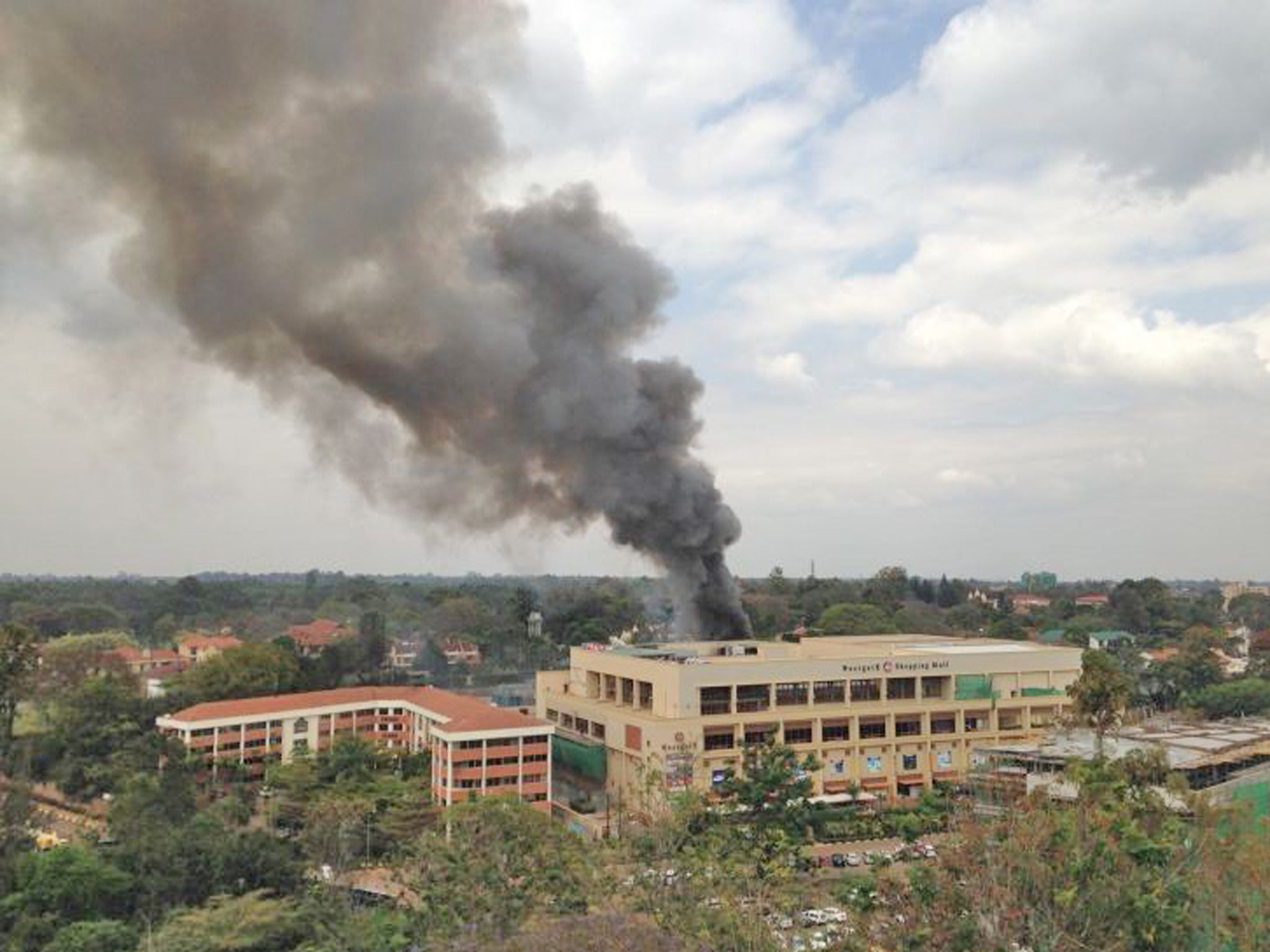 Al-Shabaab carried out the Westgate mall attack in 2013