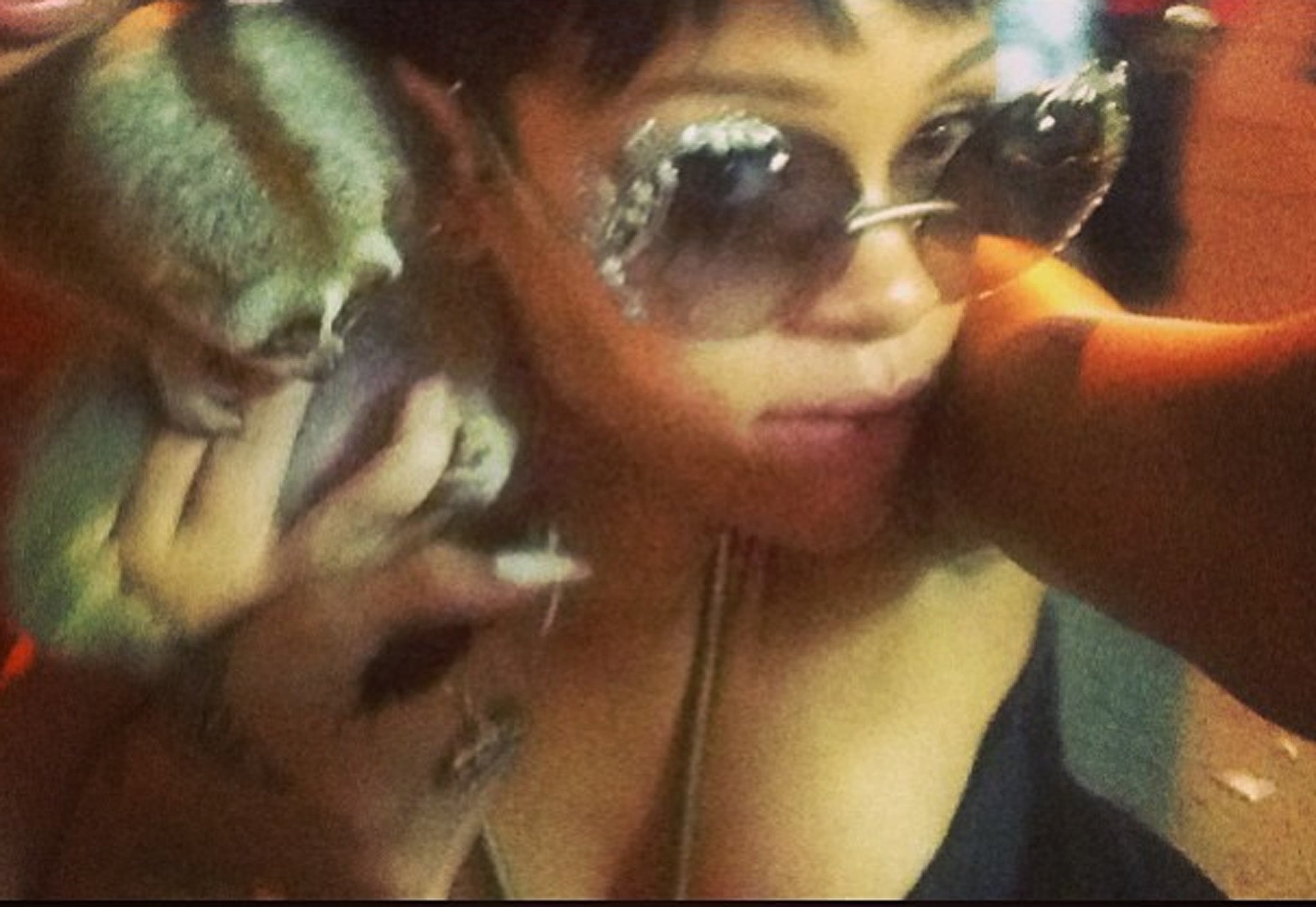 A photograph of Rihanna posing with a slow loris has led to two arrests in Phuket, Thailand