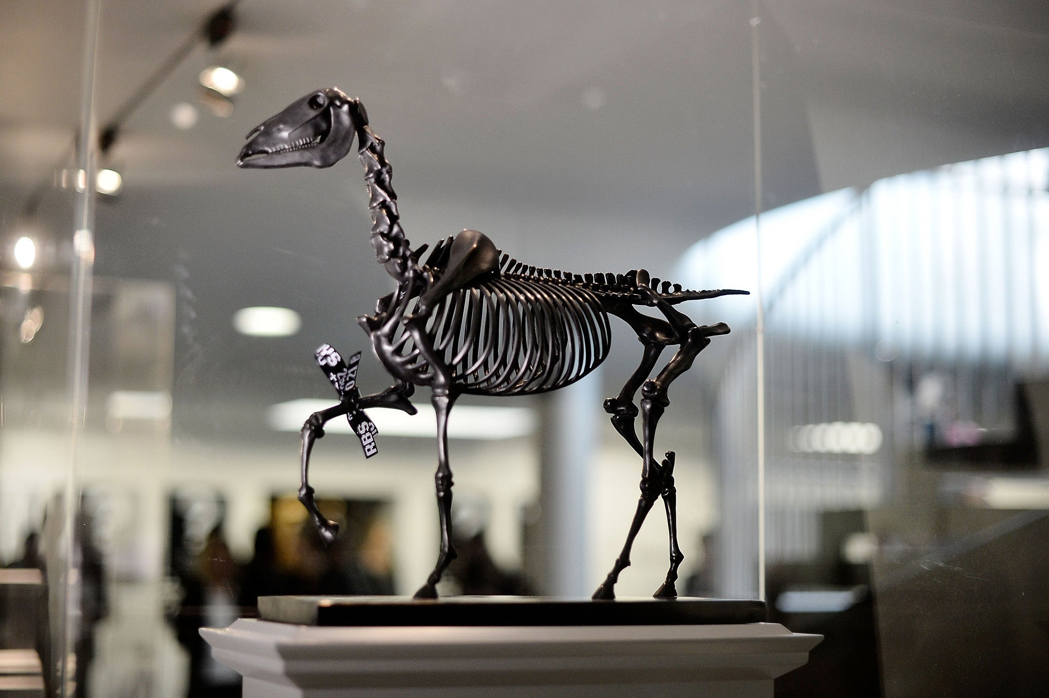 A model of 'Gift Horse' by Hans Haacke - another winning entry