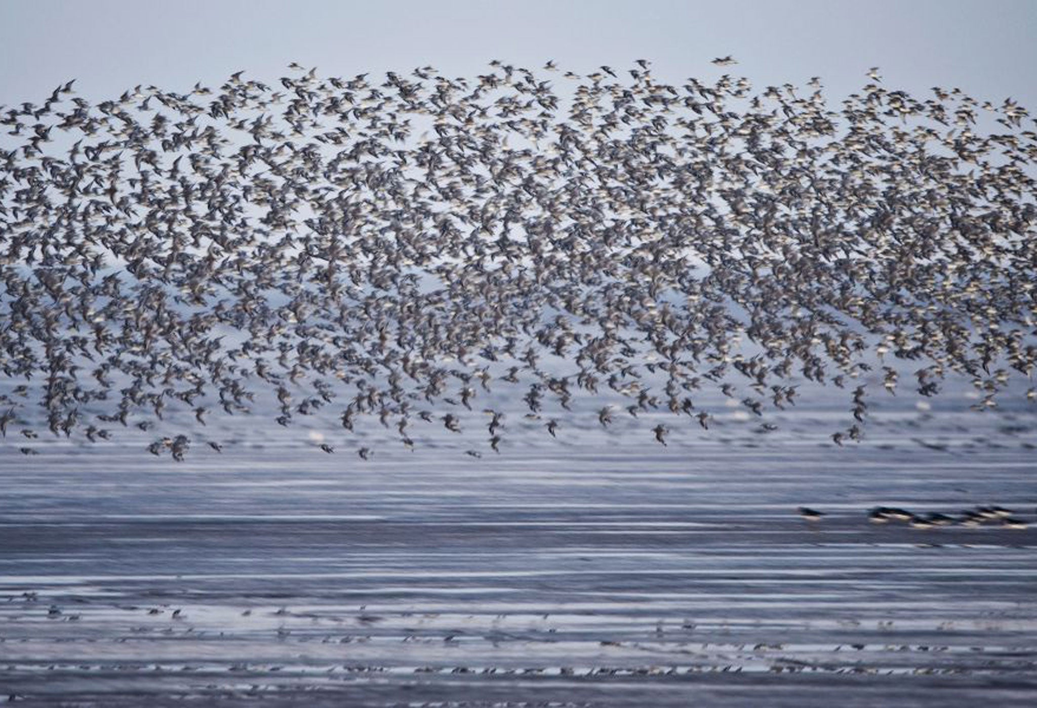 Knot dancing in the sky over the Wash