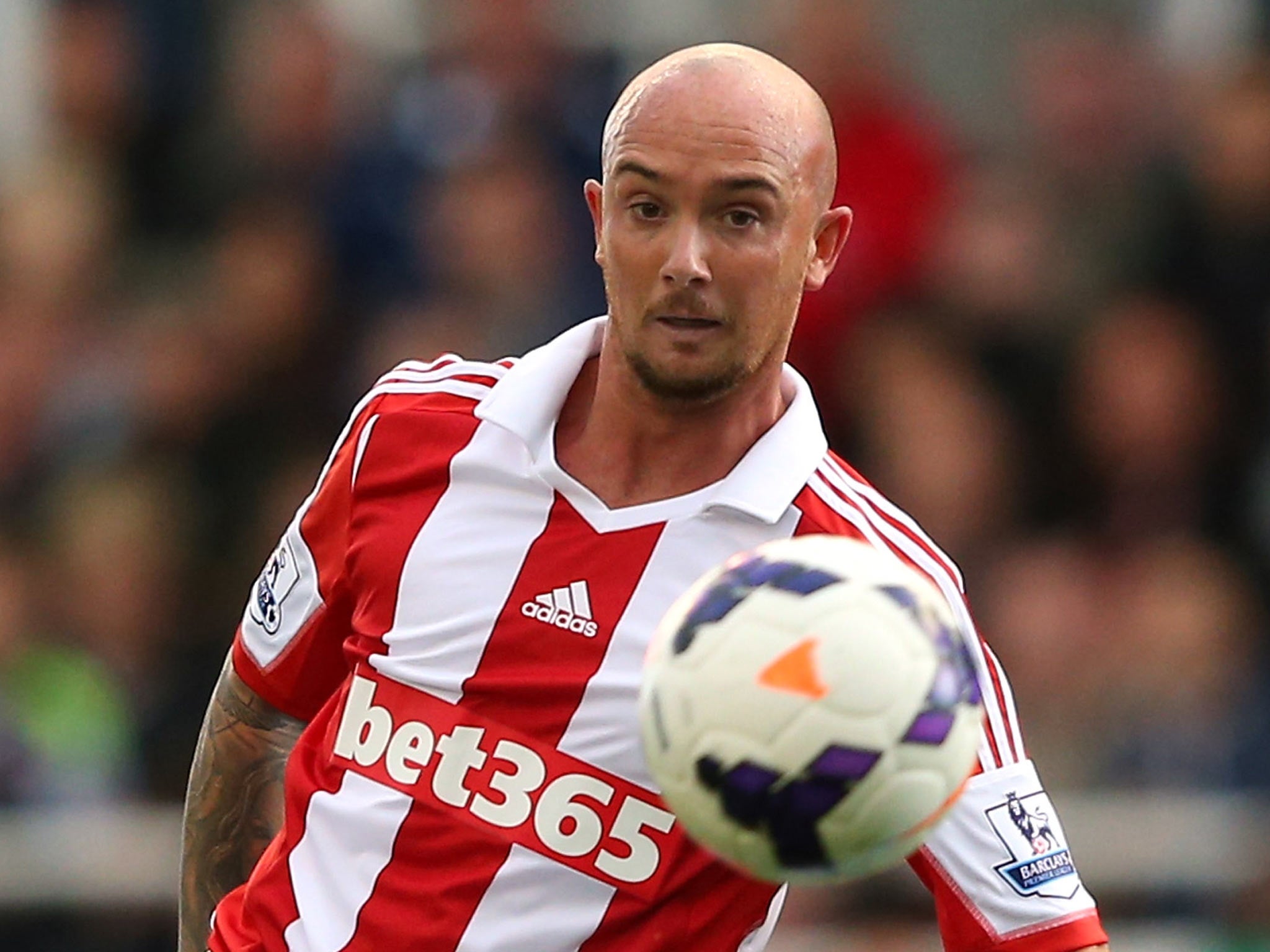 Stephen Ireland is expected to feature for Stoke