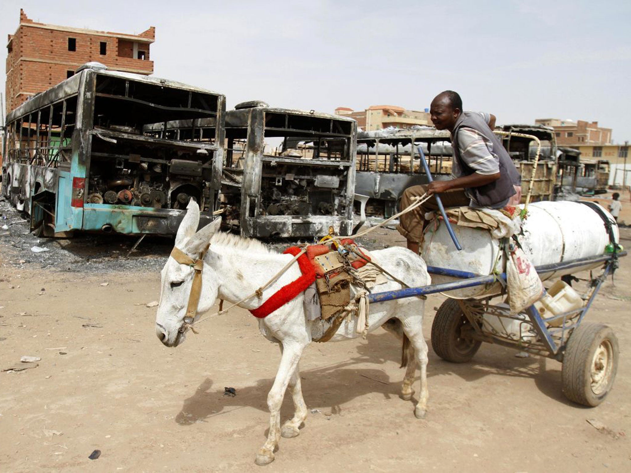 A donkey cart passes burned buses following rioting in Khartoum