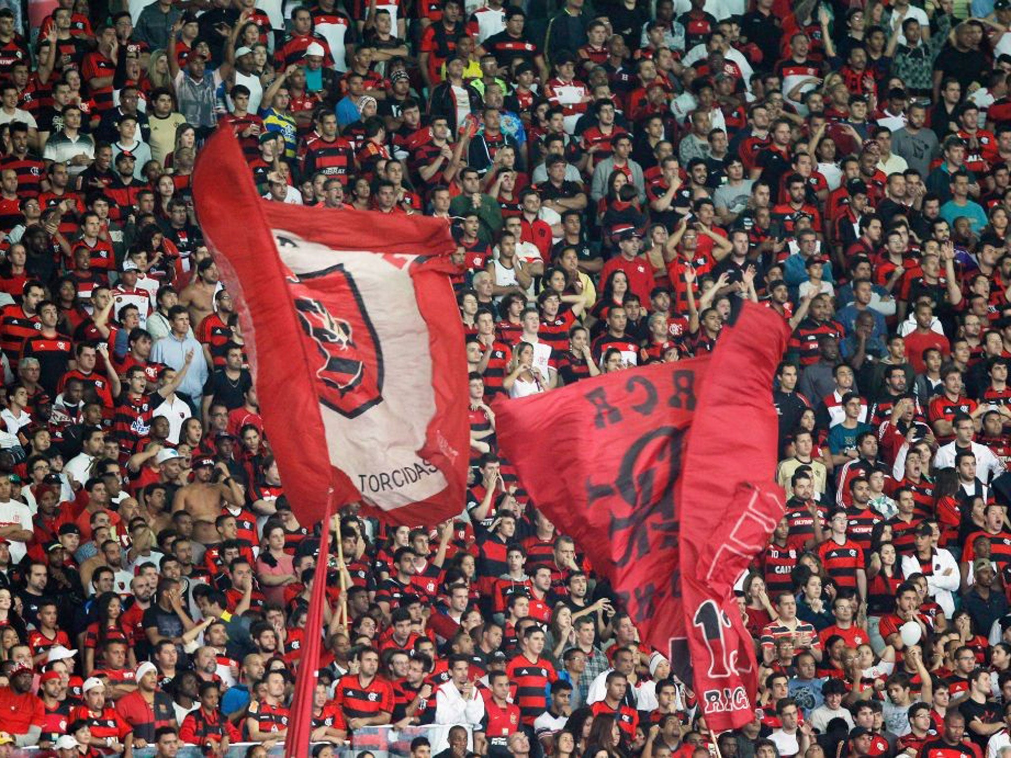 Flag of convenience: Supporters of Flamengo brandish their ‘torcidas’ banners for the match against Botafogo at the Maracana last week