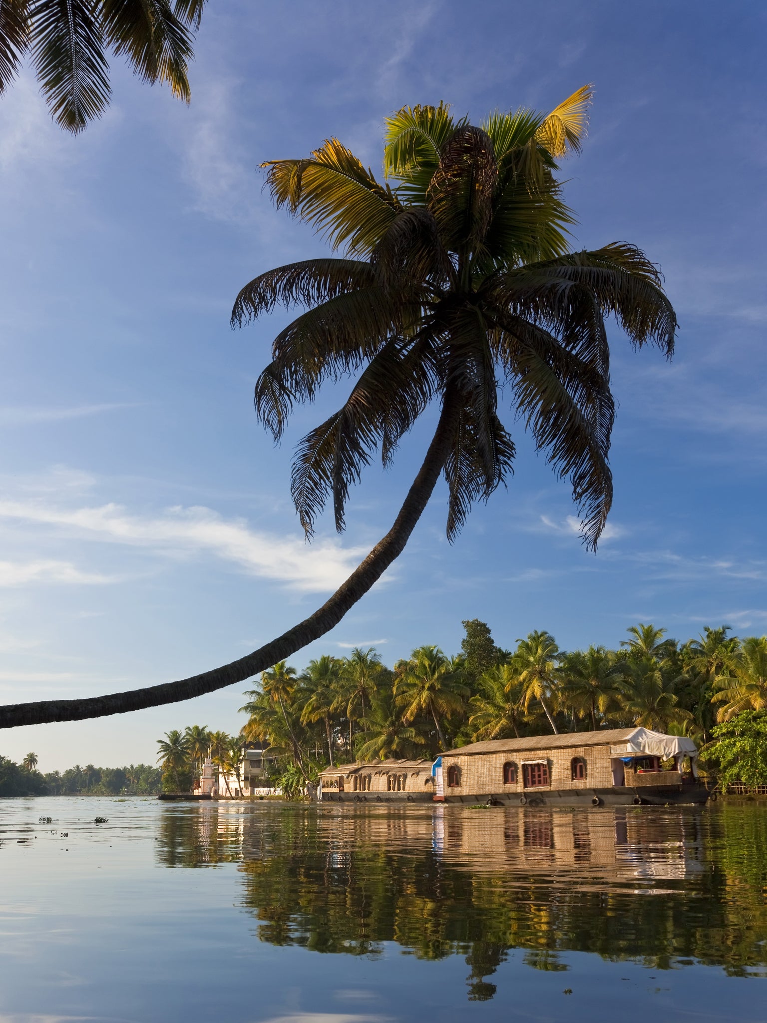 Liquid assets: a houseboat cruises the backwaters