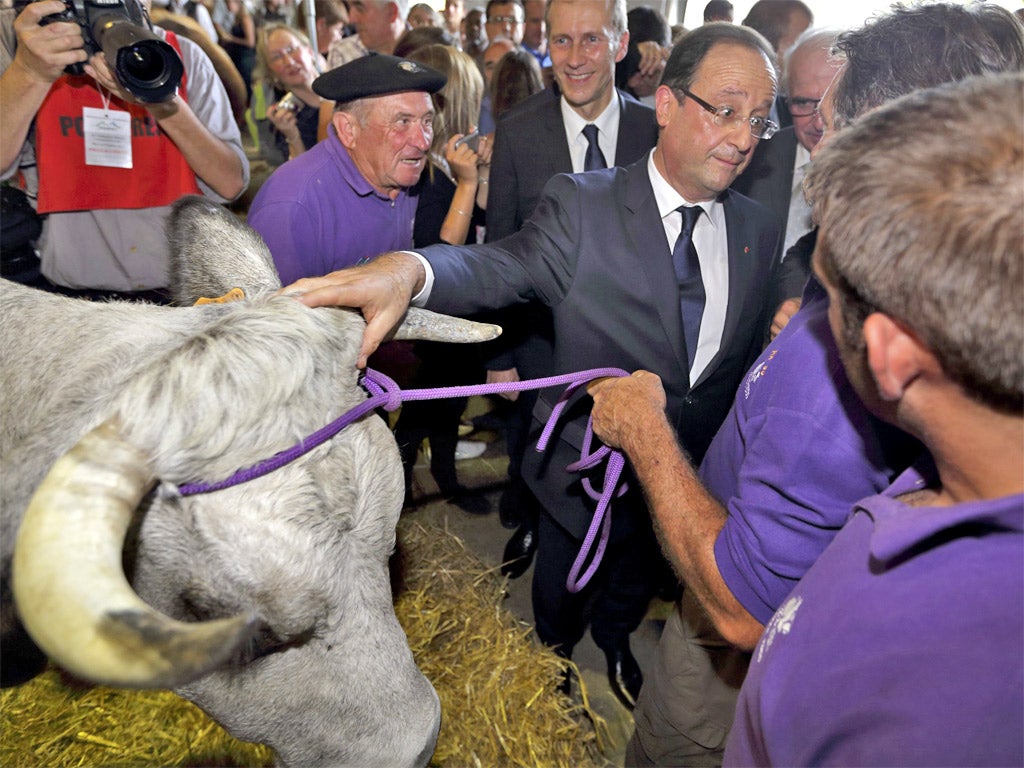 François Hollande meets cattle breeders in Cournon d’Auvergne