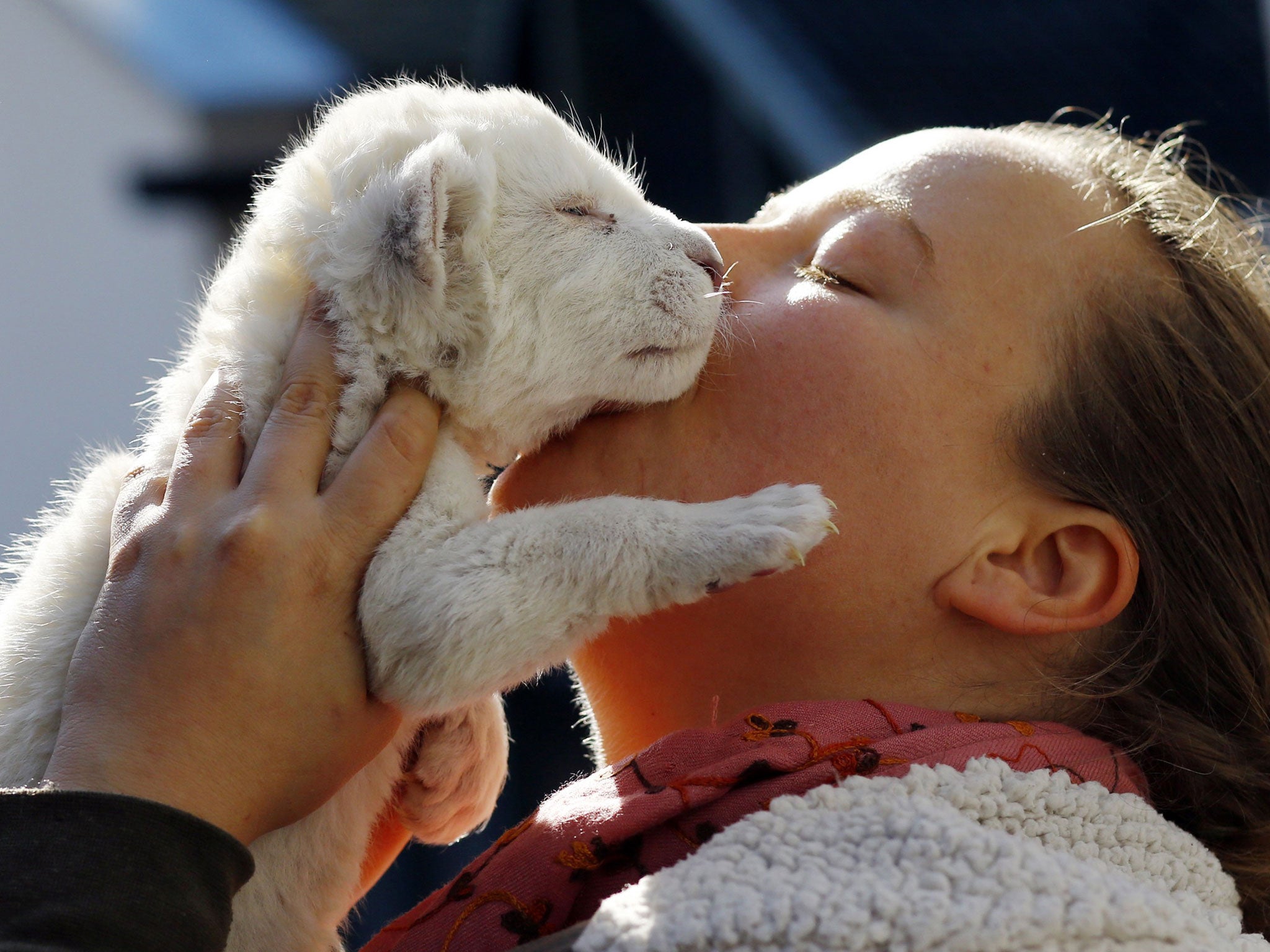 The cub is one of eleven at the zoo