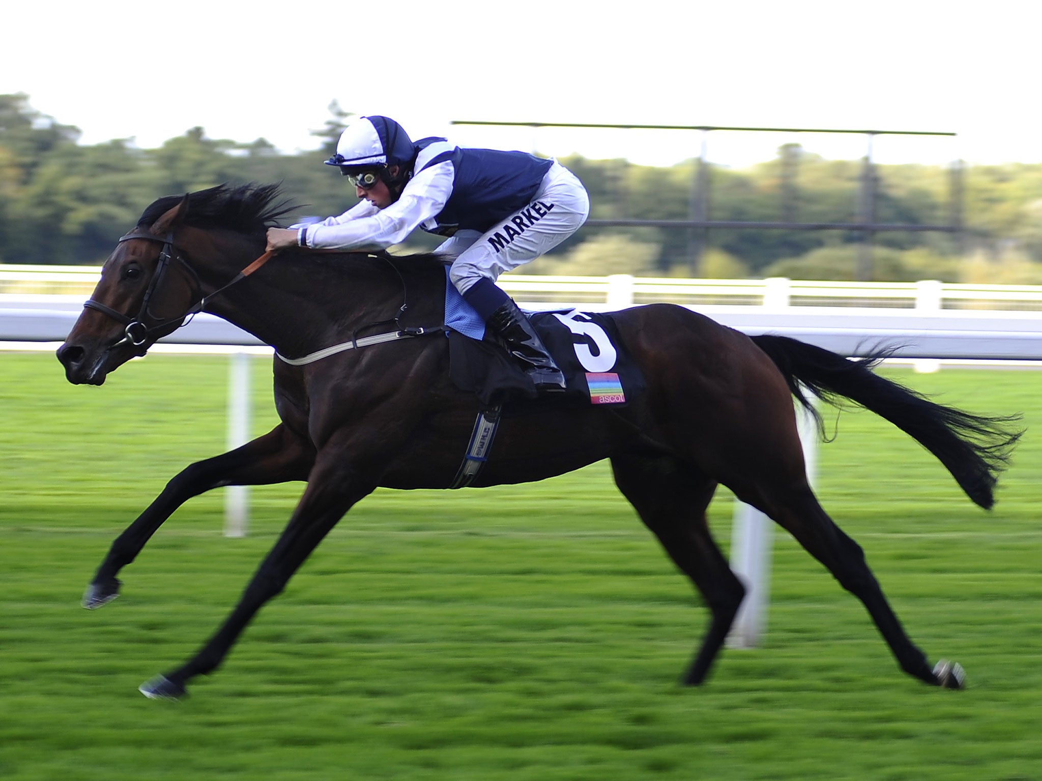 Nichols Canyon, ridden by William Buick, was a ready winner of the Listed Noel Murless Stakes at Ascot