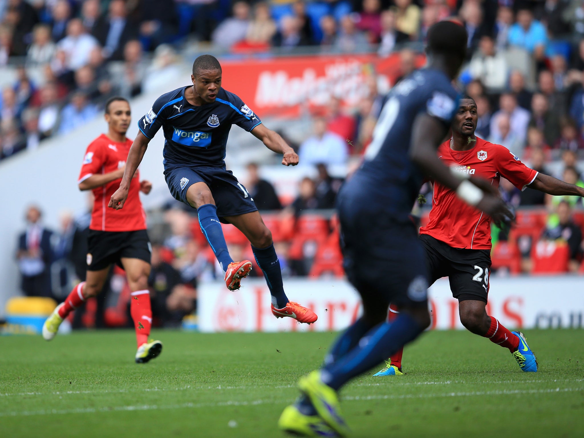 Loic Remy has scored five league goals for Newcastle this season