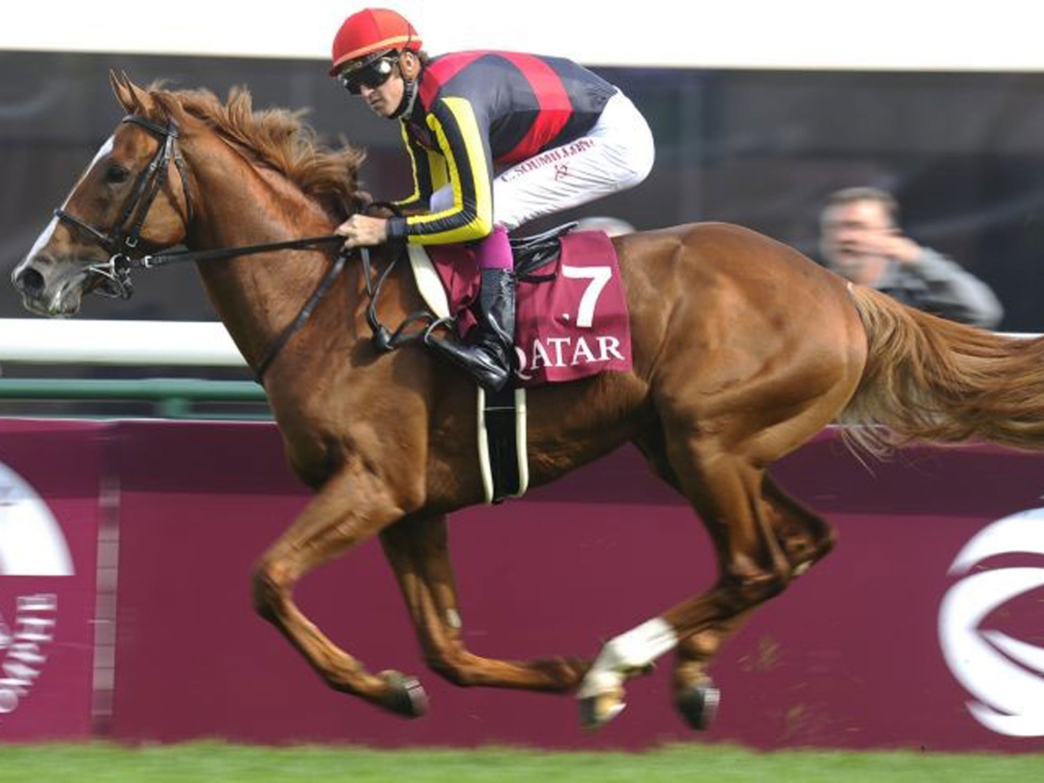 Eastern promise: Orfevre, under Christophe Soumillon, looks sharp in winning the Prix Foy at Longchamp last month