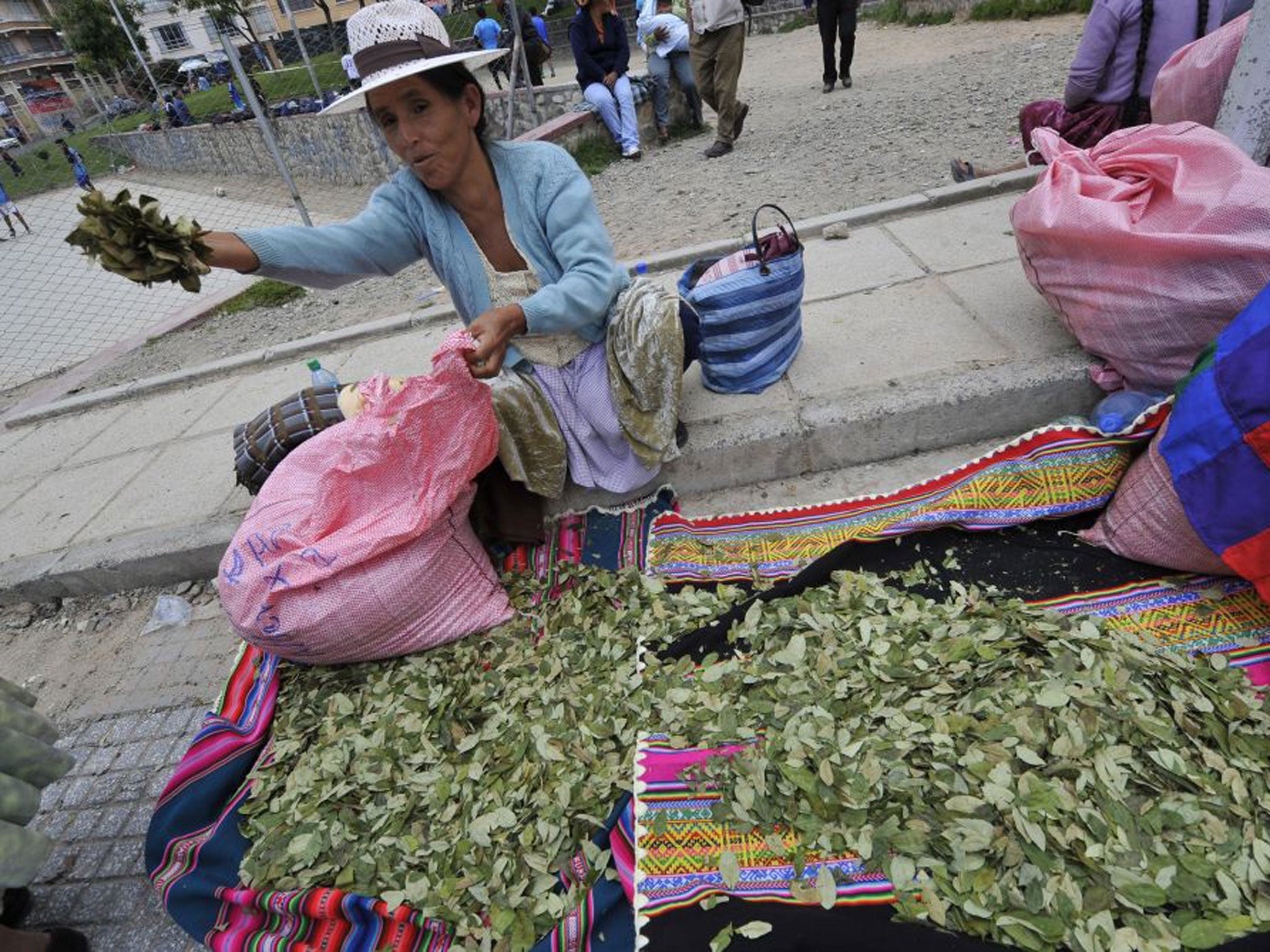 A woman sells coca leaves in La Paz, Bolivia, where the plant has traditionally had medicinal purposes