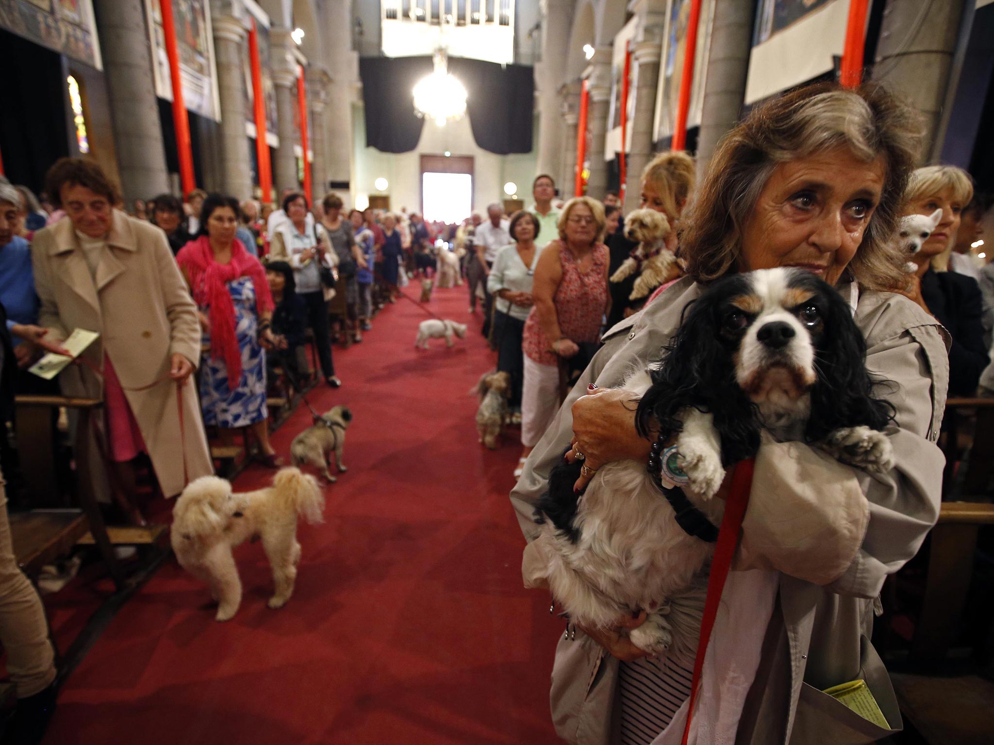 Owners and their pets attend a mass at the Saint Pierre D'Arene church to honour the feast of Saint Francis of Assisi in Nice, southeastern France