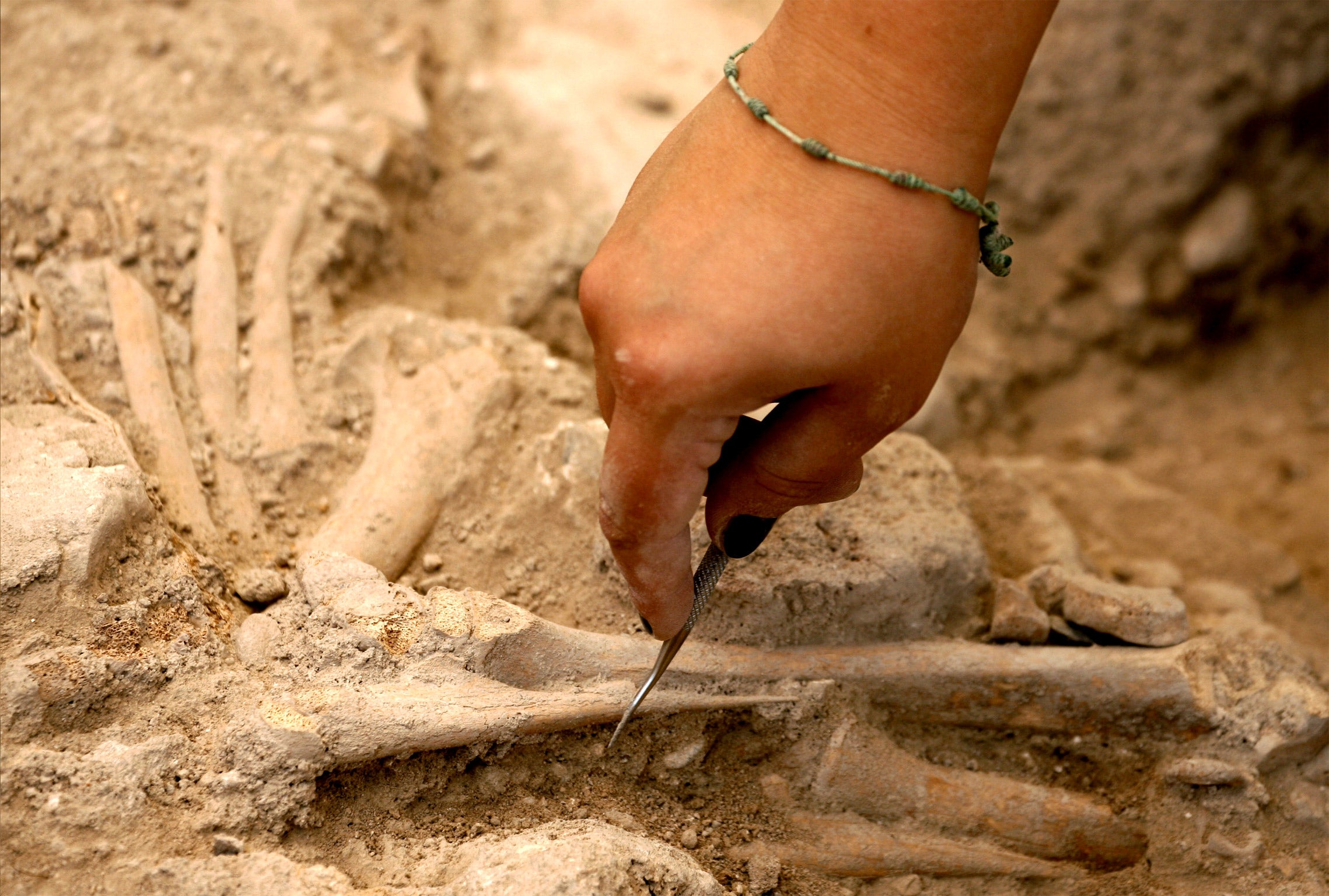 A skeleton is discovered during the excavation (Getty)