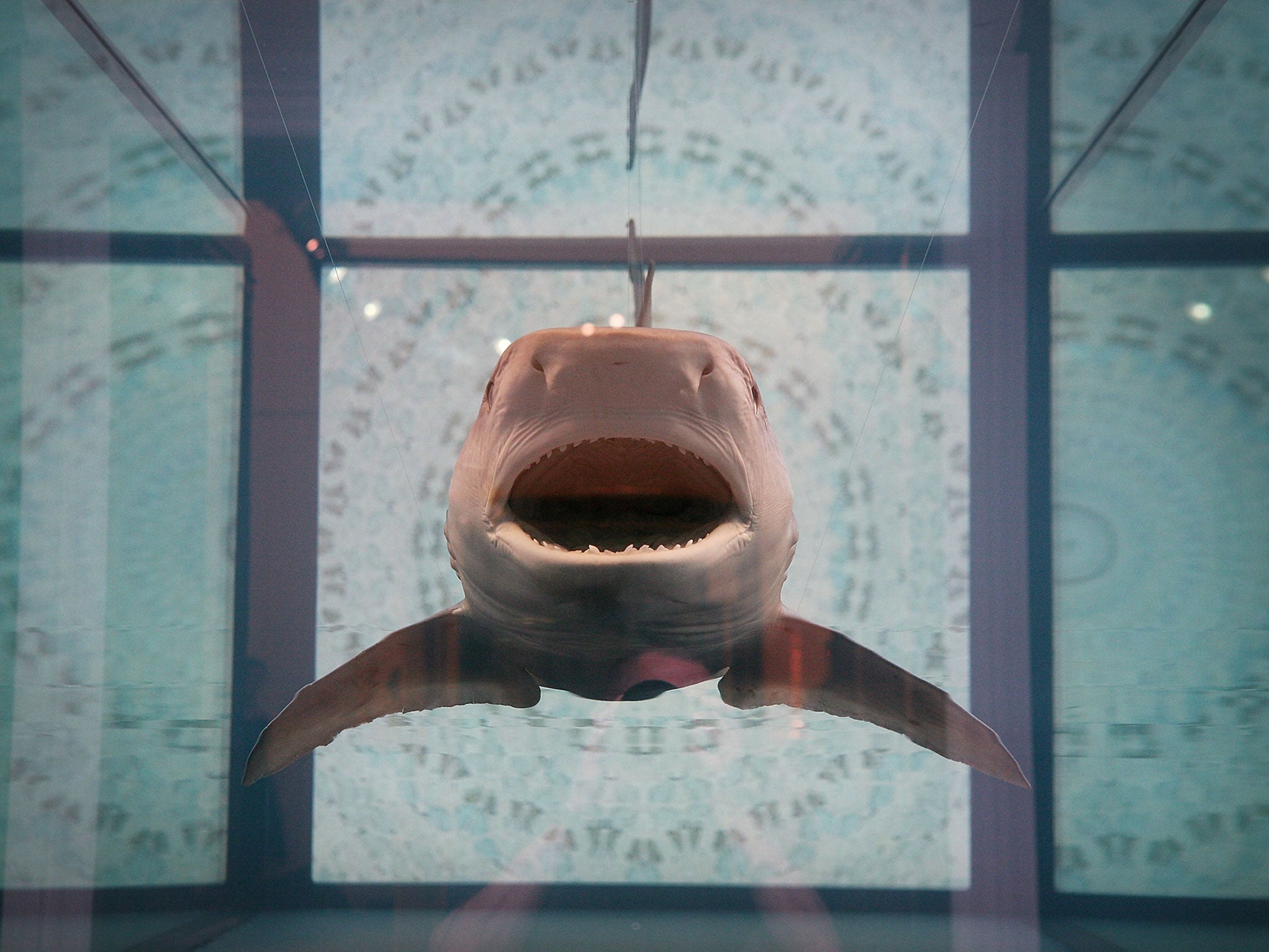 'The Kingdom', a tiger shark in Formaldehyde, sold for ,555,000 at Sotheby's in September 2008