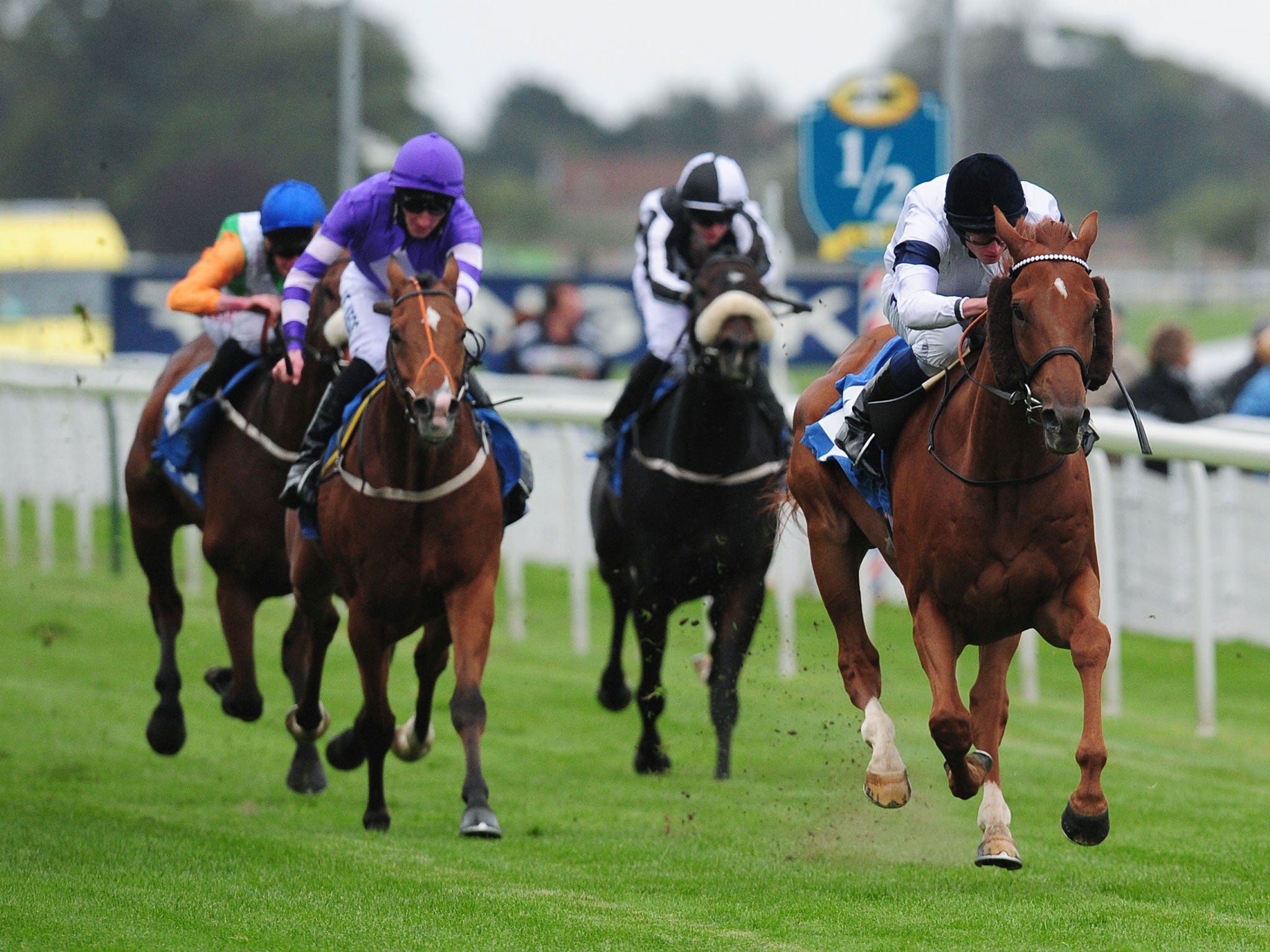 The William Haggas-trained Graphic, ridden by Ryan Moore, wins the mile handicap at York