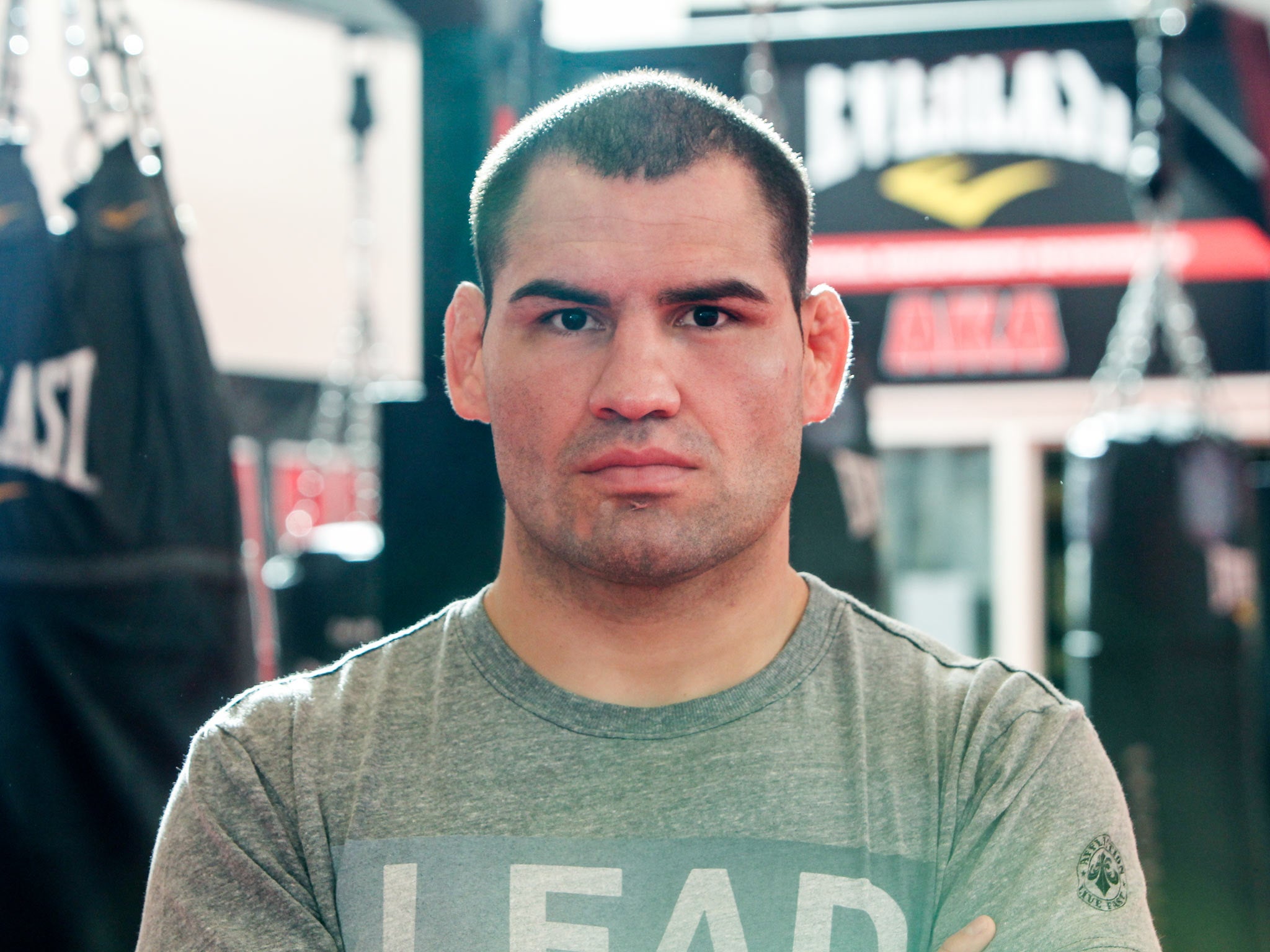 Cain Velasquez is hugely dominant