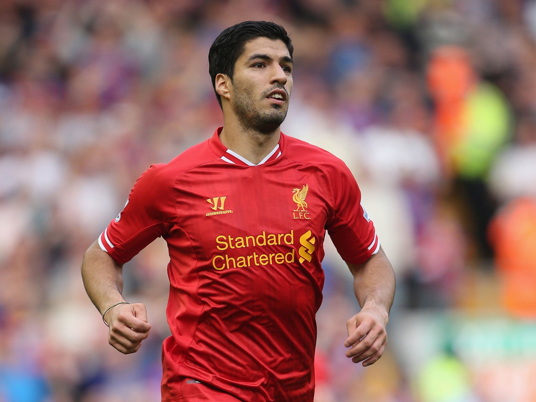 Luis Suarez will be in action for Liverpool against Newcastle on Saturday