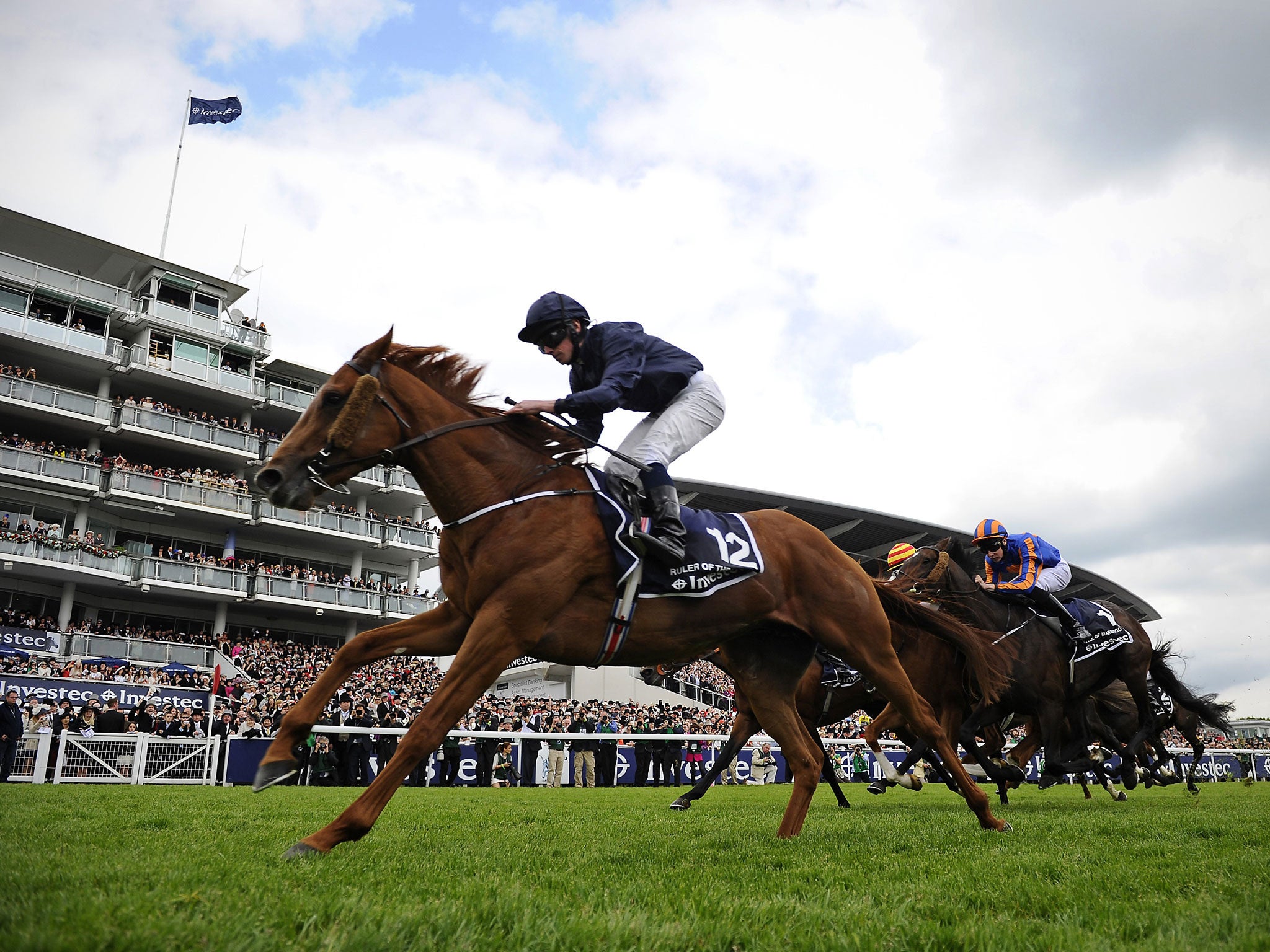 The Derby winner Ruler Of The World should be suited by a strongly run 10 furlongs in the Champion Stakes at Ascot