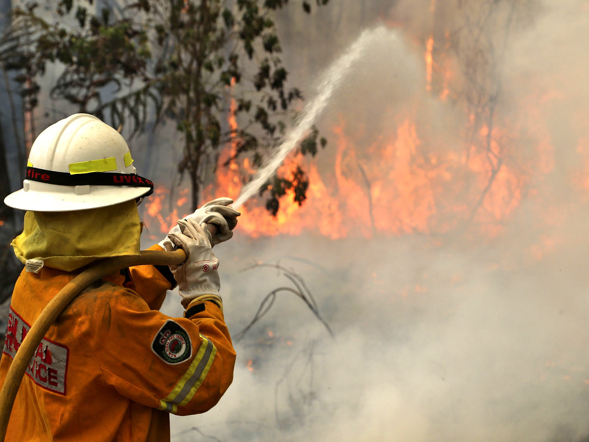 Fireman battles the flames at Bilpin, west of Sydney