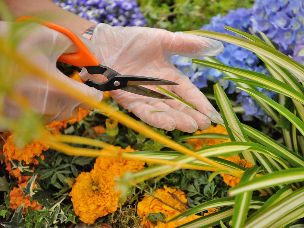 The majority of GPs surveyed said ecotherapy was a suitable treatment for anxiety and depression