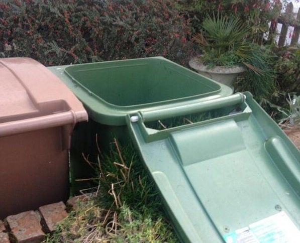 The state of devastation wrought upon one citizen's wheelie bin