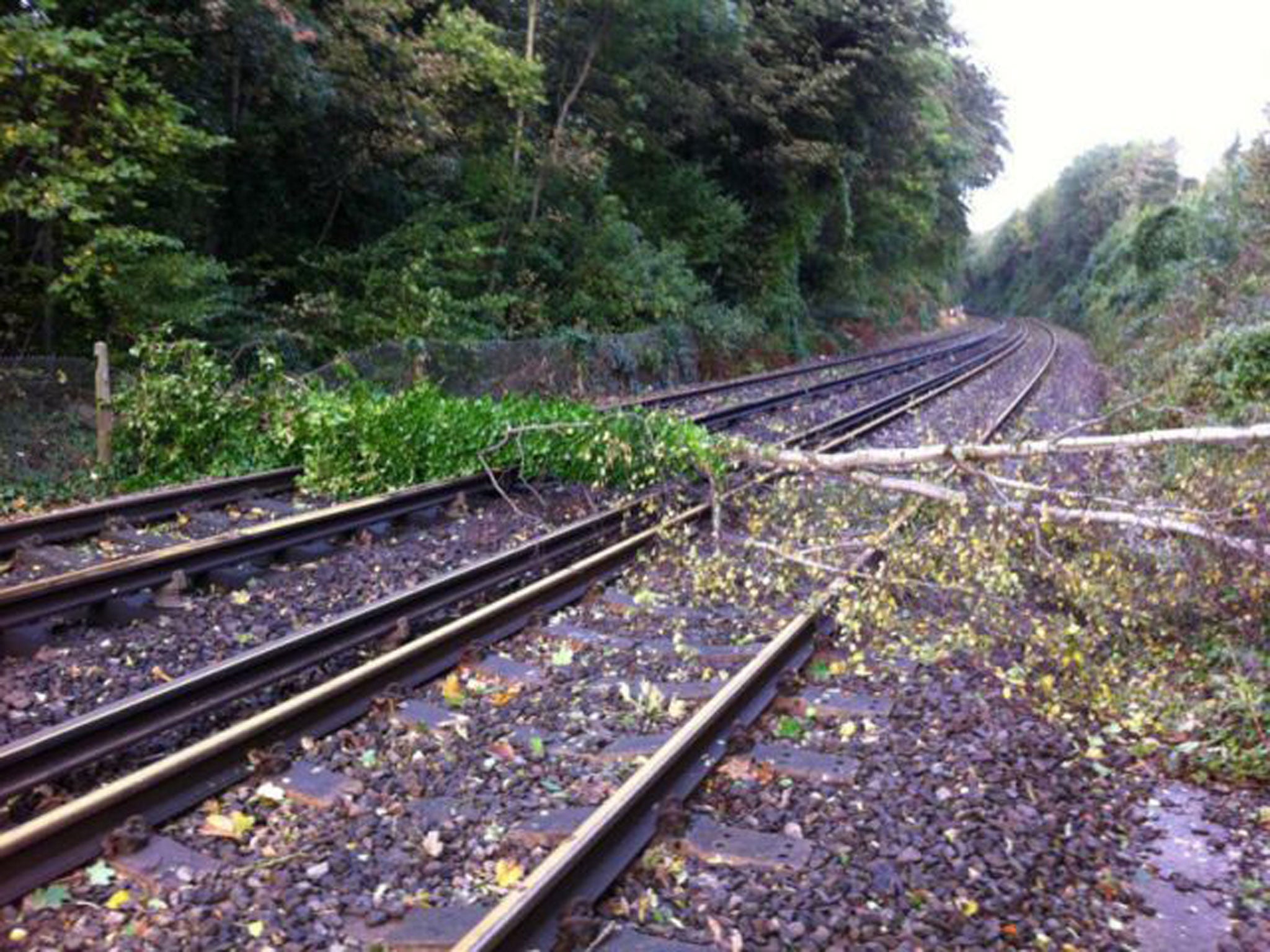 Fallen trees blocked the railway line at Beltring in Kent