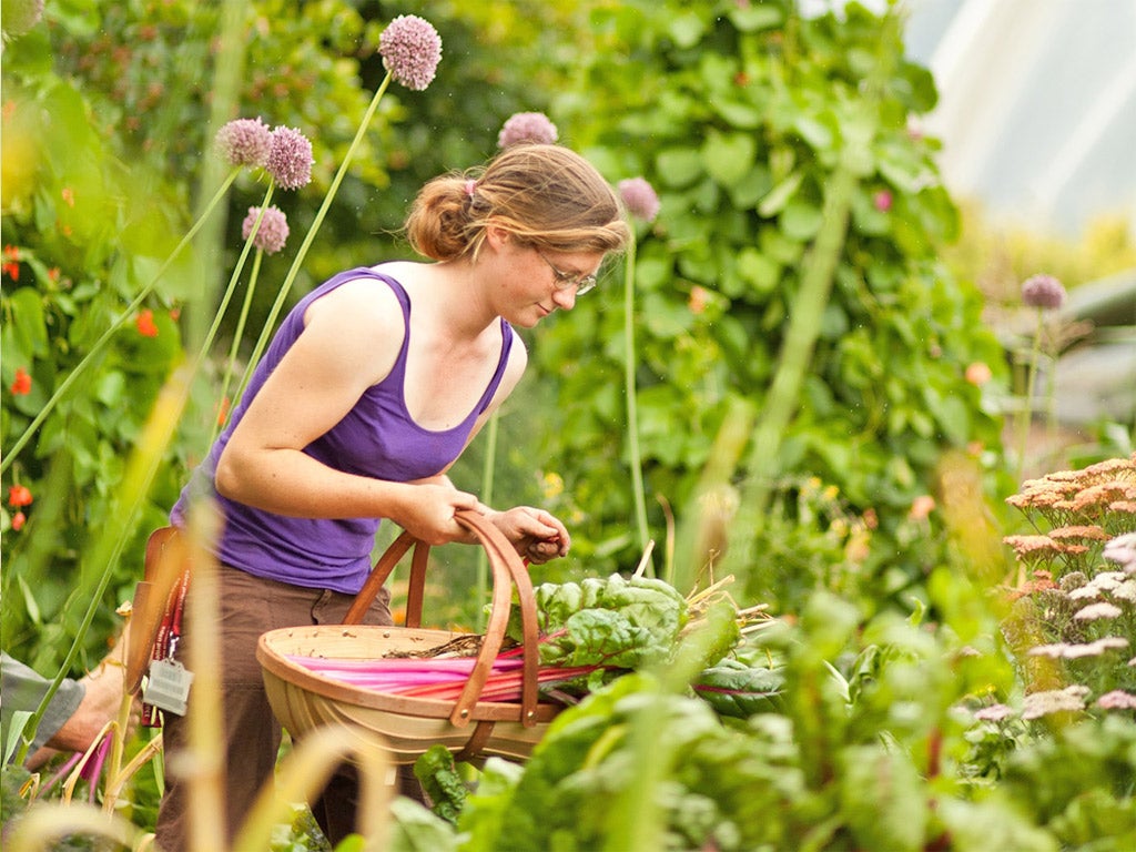 Green peace: visitors can help with day-to-day tasks on the tour